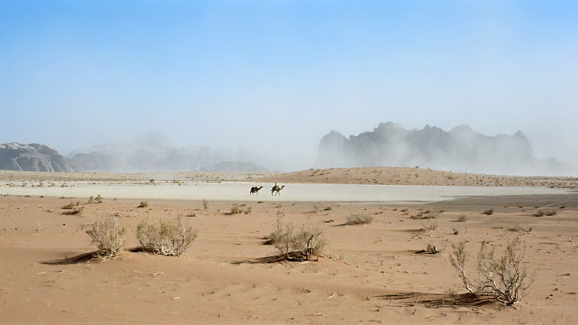 Lawrence Of Arabia Movies Film Stills Desert Sand Sky Camels Plants Rocks 1920x1080