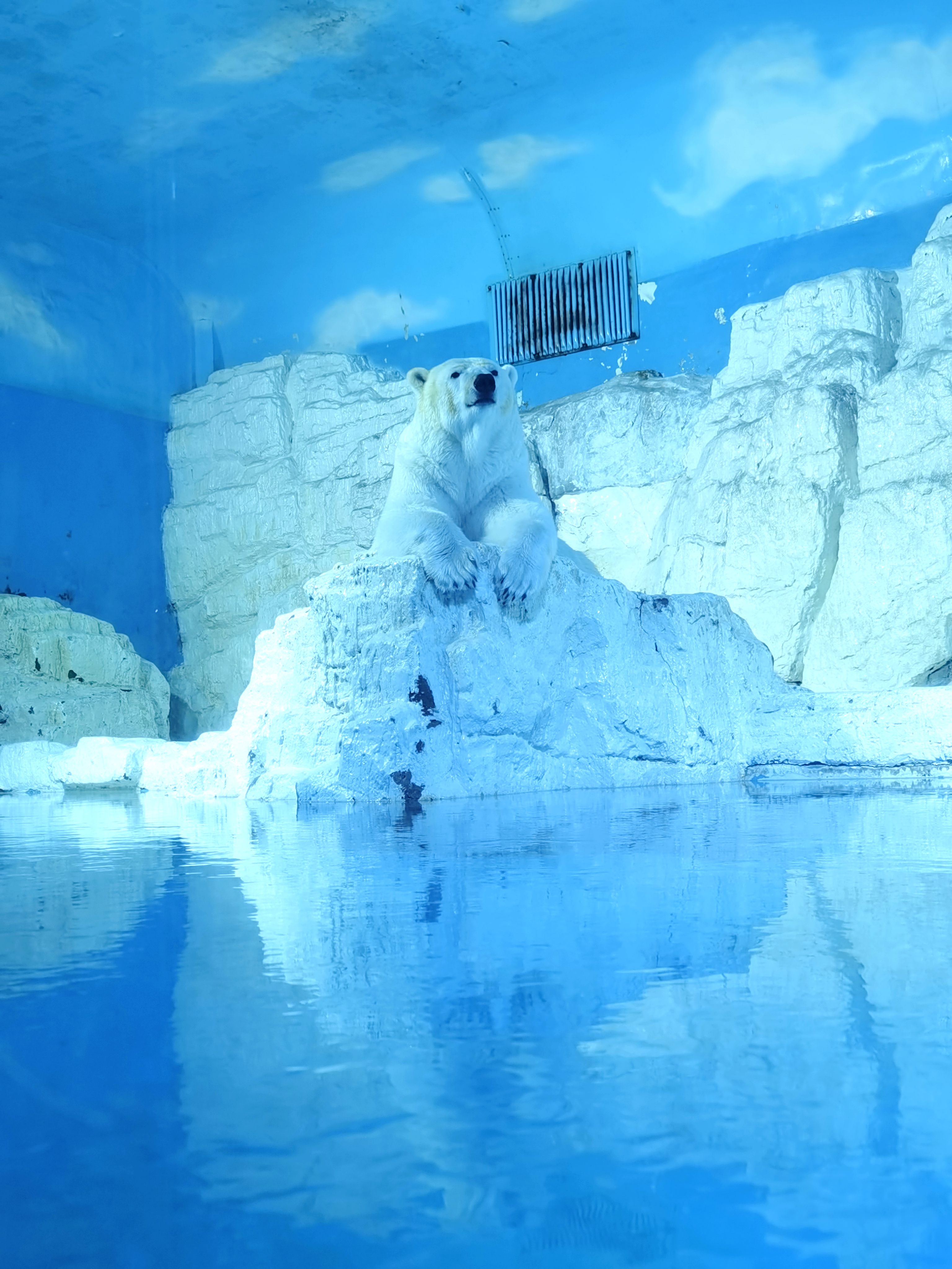 Polar Bears Ice Artist 3072x4096