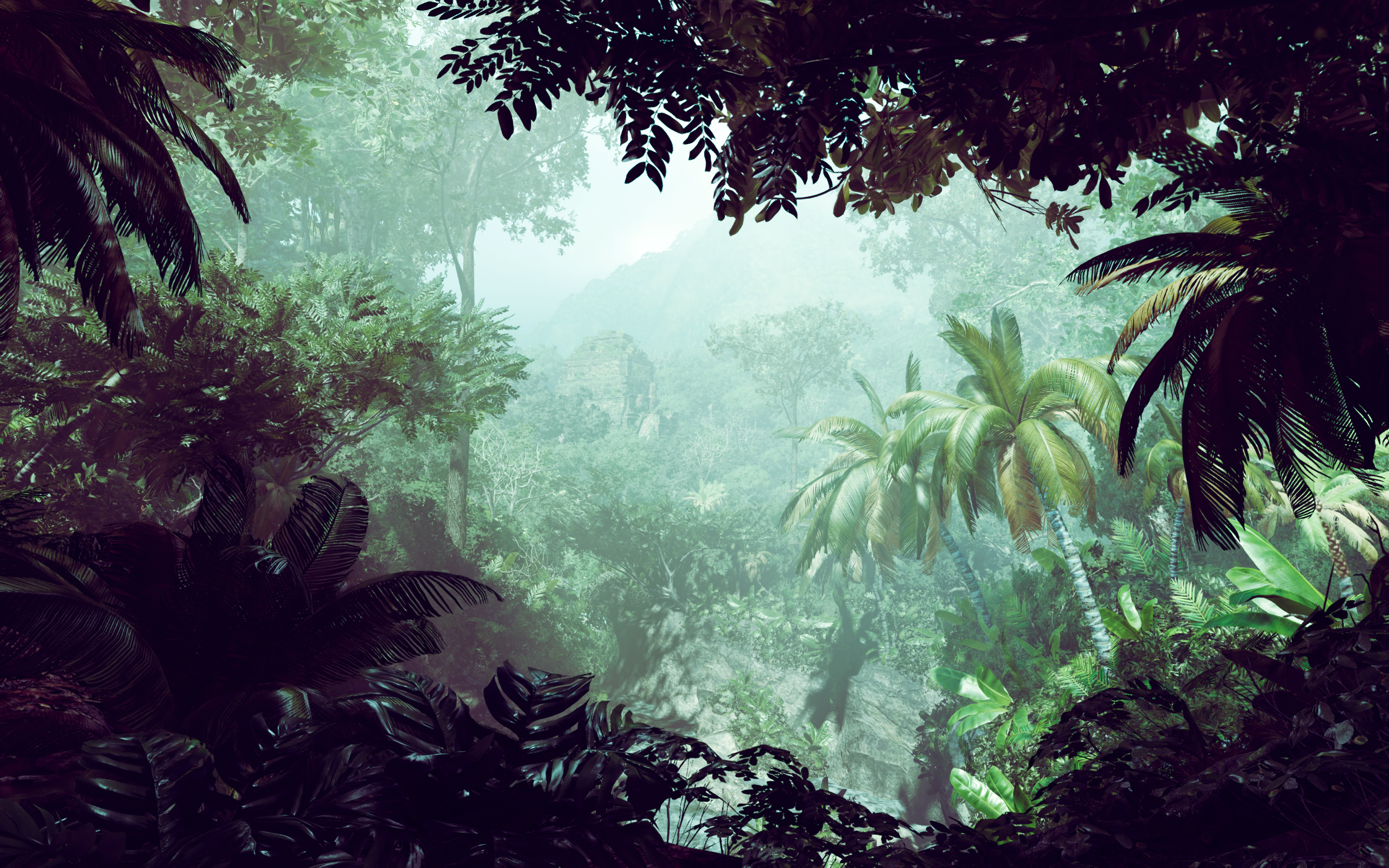 Tomb Raider 505 Games Video Games Digital Art Palm Trees Forest Nature 2560x1600