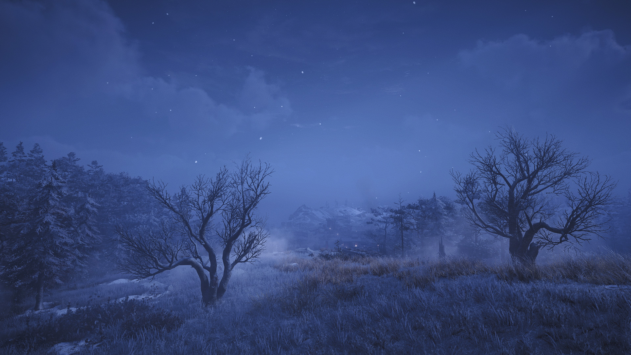 Assassins Creed Valhalla Reshade HDR Depth Of Field Video Games Trees Nature Sky Night Stars 2560x1440