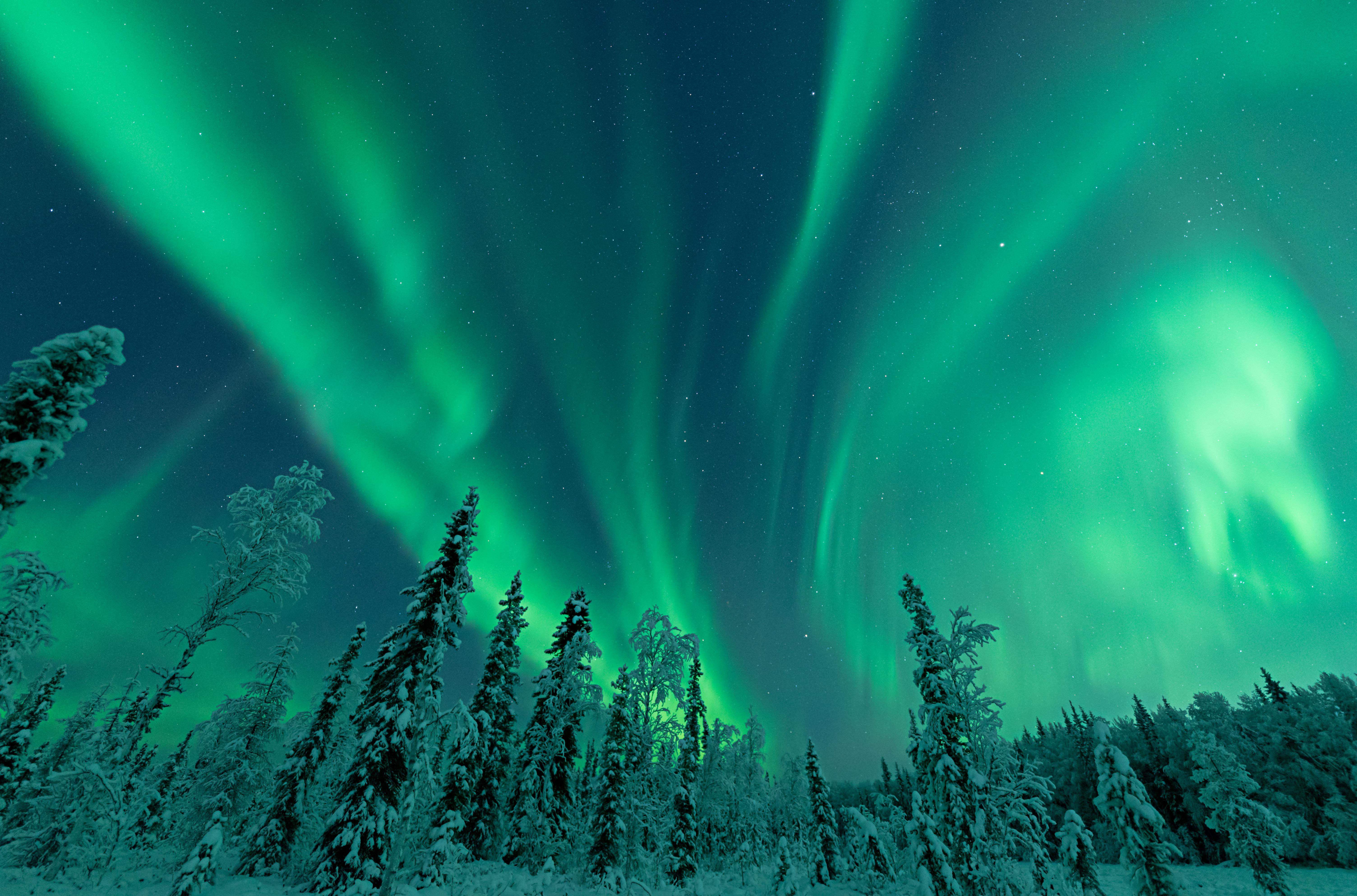 Alaska USA Landscape Aurorae Nature Snow Winter Forest Sky Trees Night Stars 6016x3974