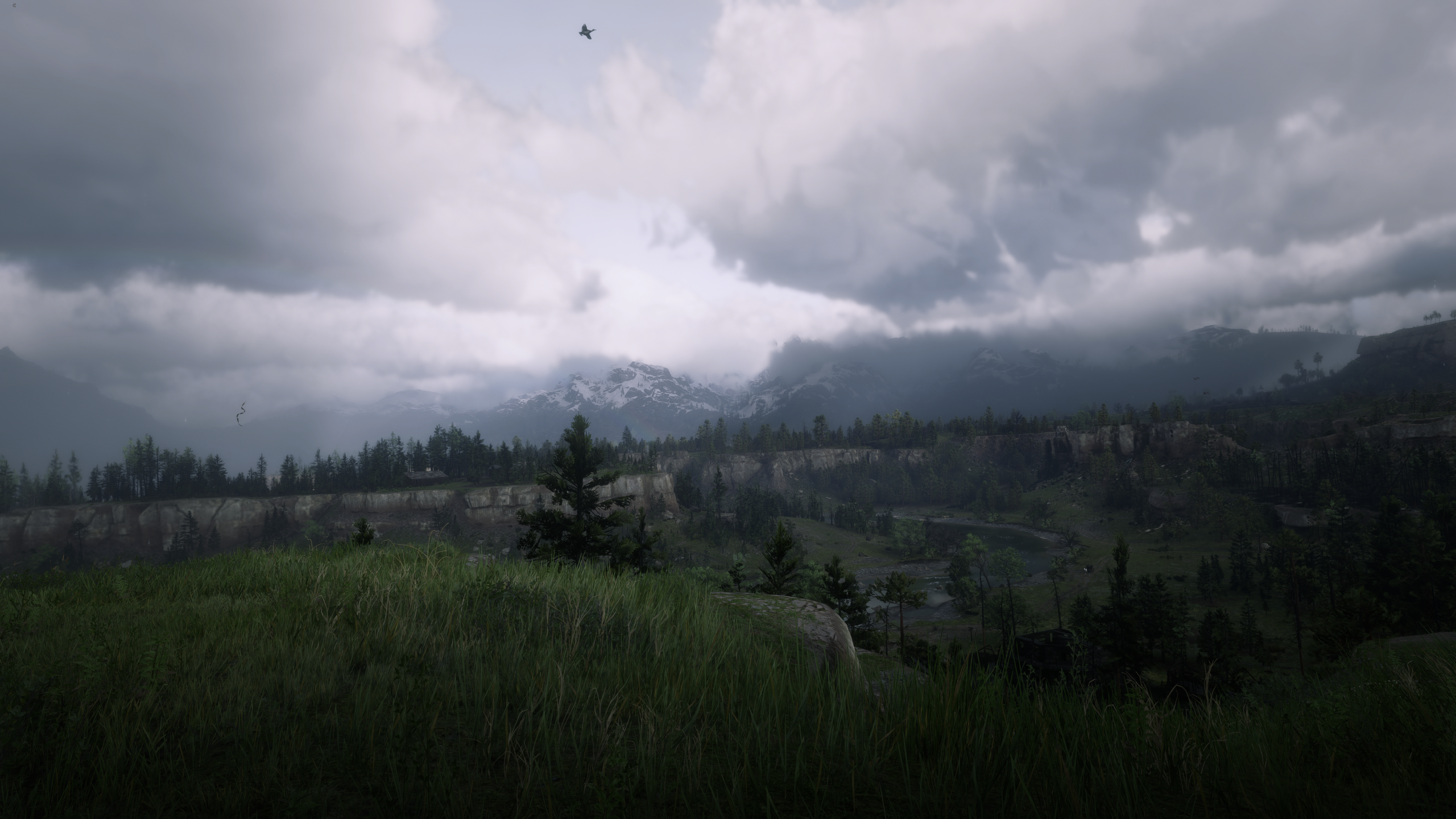 Landscape Nature Video Game Art Red Dead Redemption Red Dead Redemption 2 Overcast Clouds Mountains  2560x1440