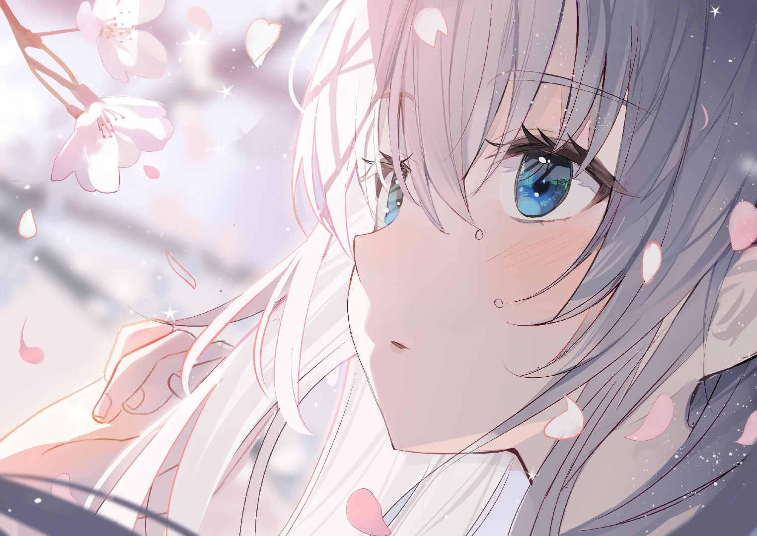 Anime Girls White Hair Flowers Looking Away Looking Up Long Hair Blue Eyes Blushing Cherry 0258