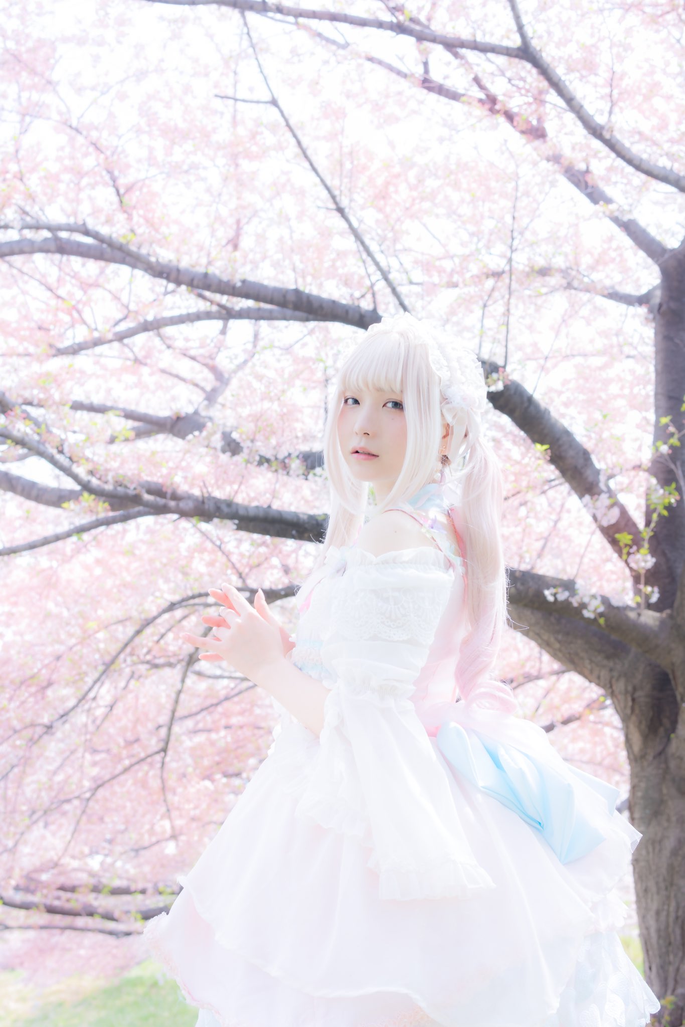 Japanese Women Asian Women Model Cherry Blossom White Clothing 1366x2048