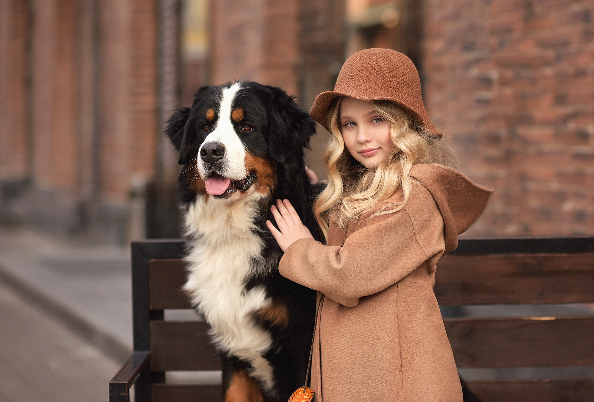 Hat Coat Bernese Mountain Dog 2000x1354