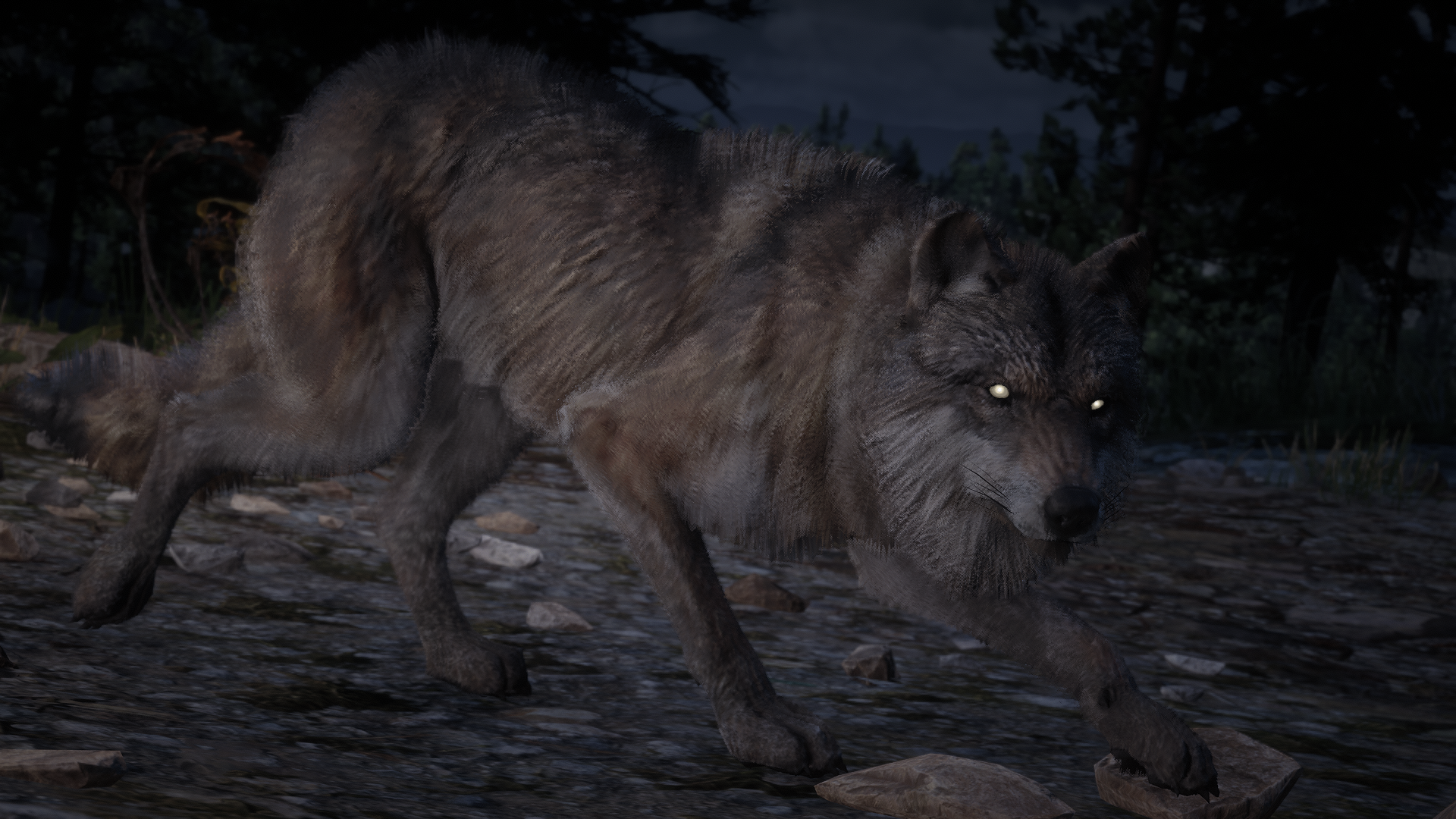 Red Dead Redemption 2 Animals Wolf 3D 1920x1080