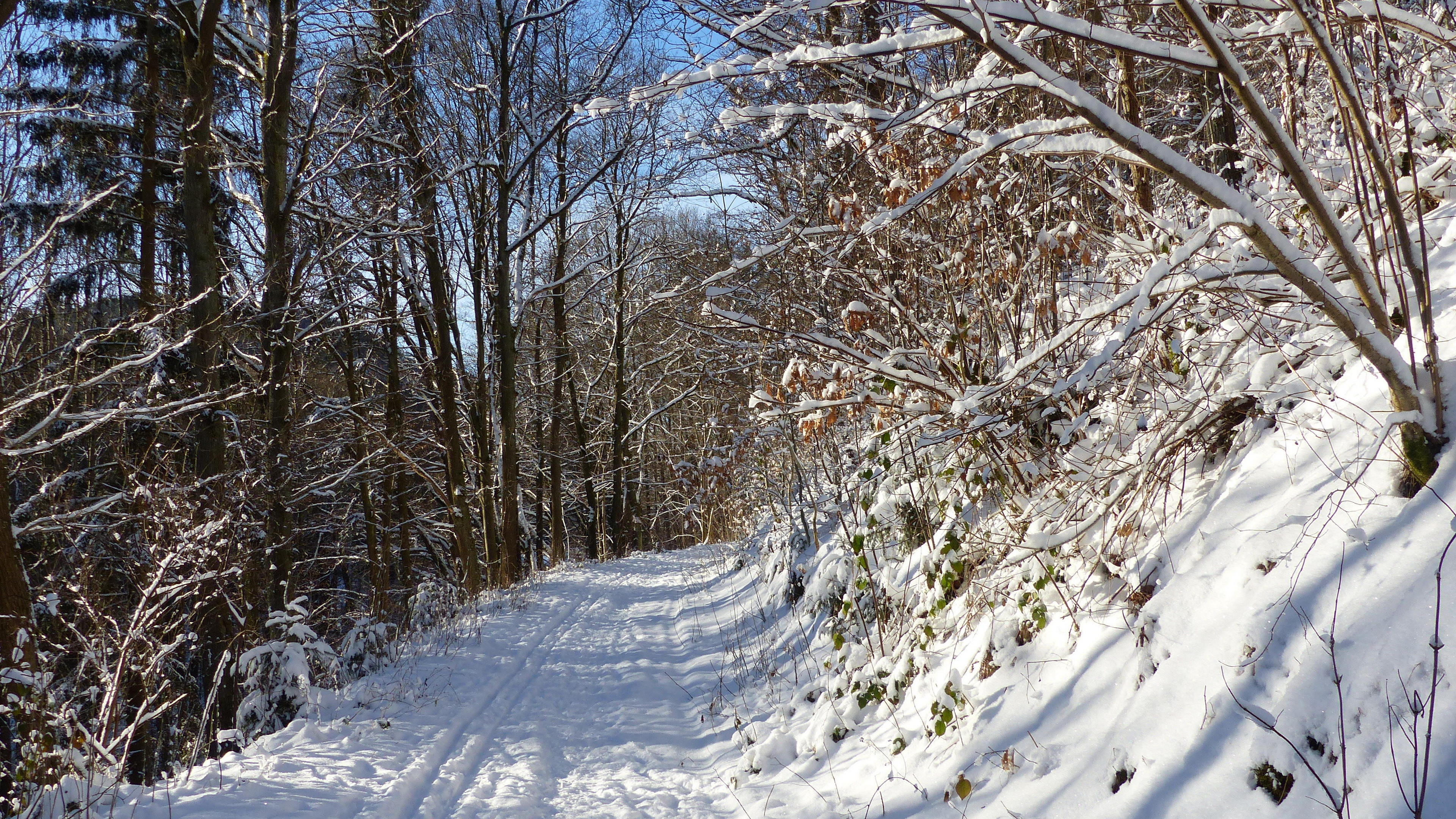 Winter Snow Nature Path Trees 3840x2160