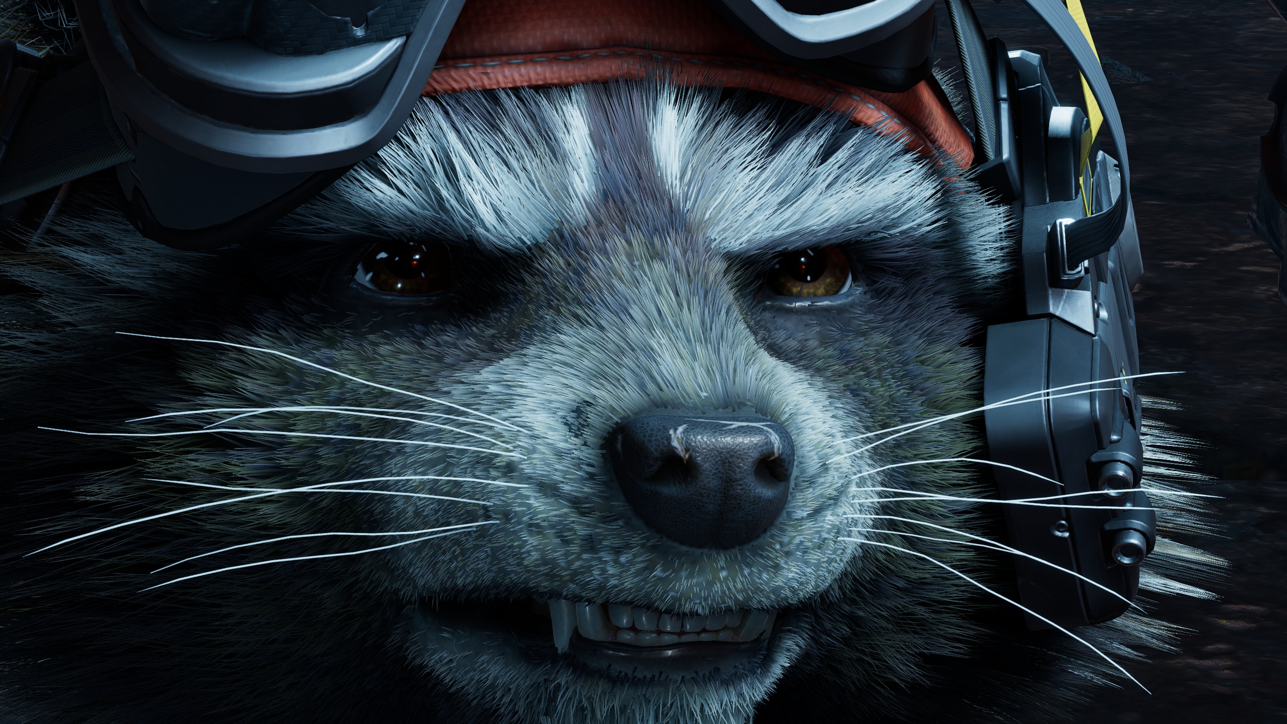 Guardians Of The Galaxy Guardians Of The Galaxy Game Rocket Raccoon Digital Art Closeup 2560x1440