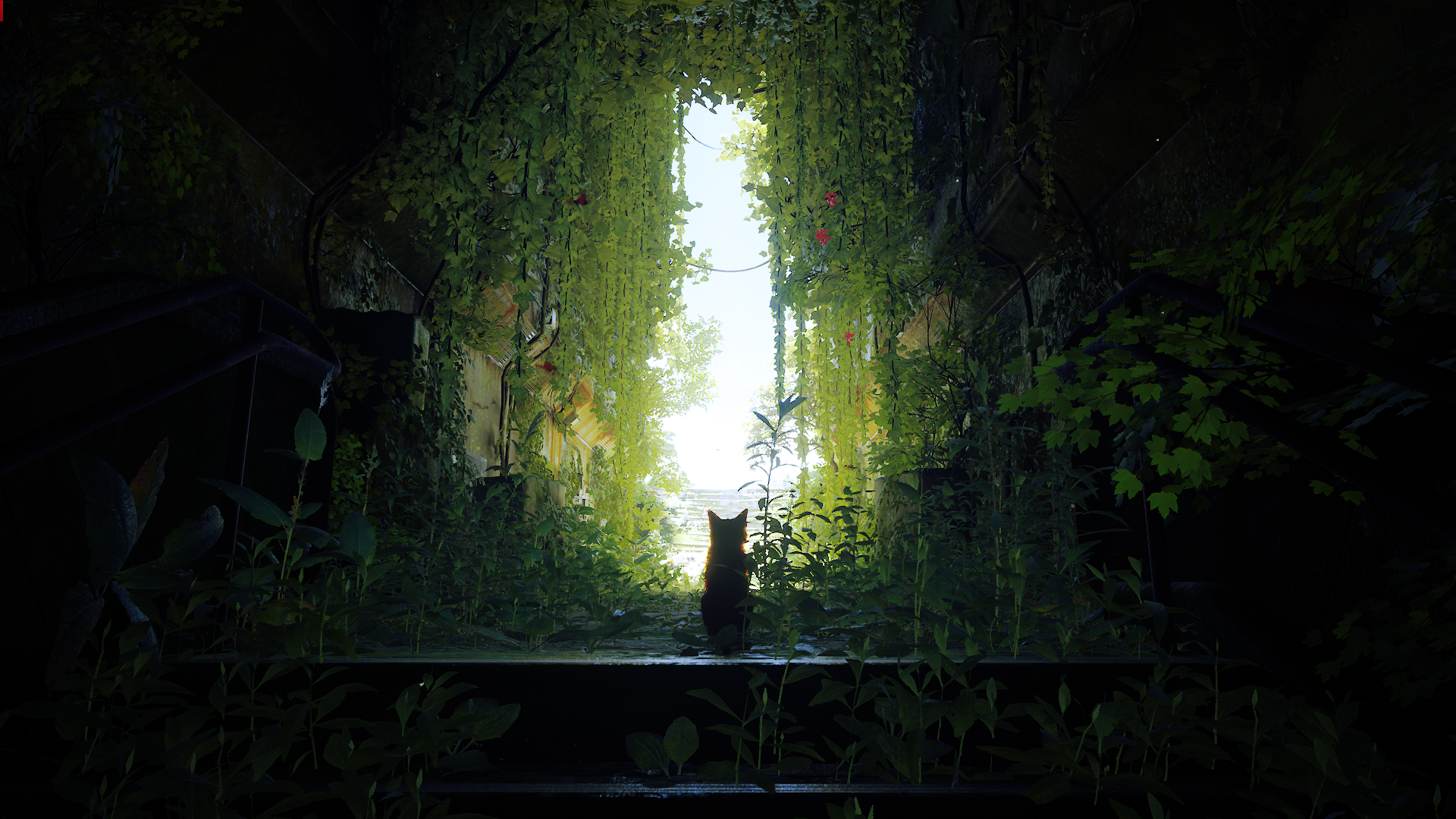 Stray Foliage Plants Leaves Daylight Futuristic Wires Stairs Railing Butterfly Feline 1920x1080