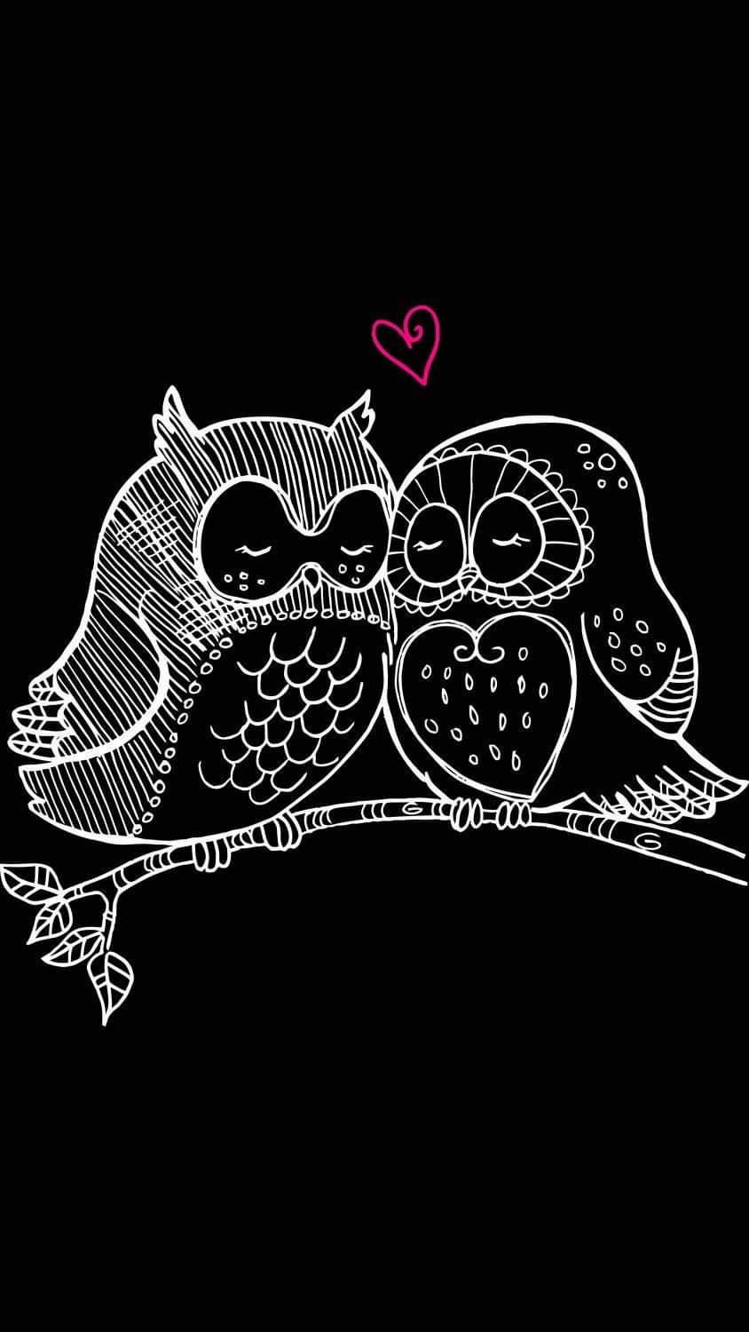 Animals Owl Monochrome Simple Background Minimalism 844x1500