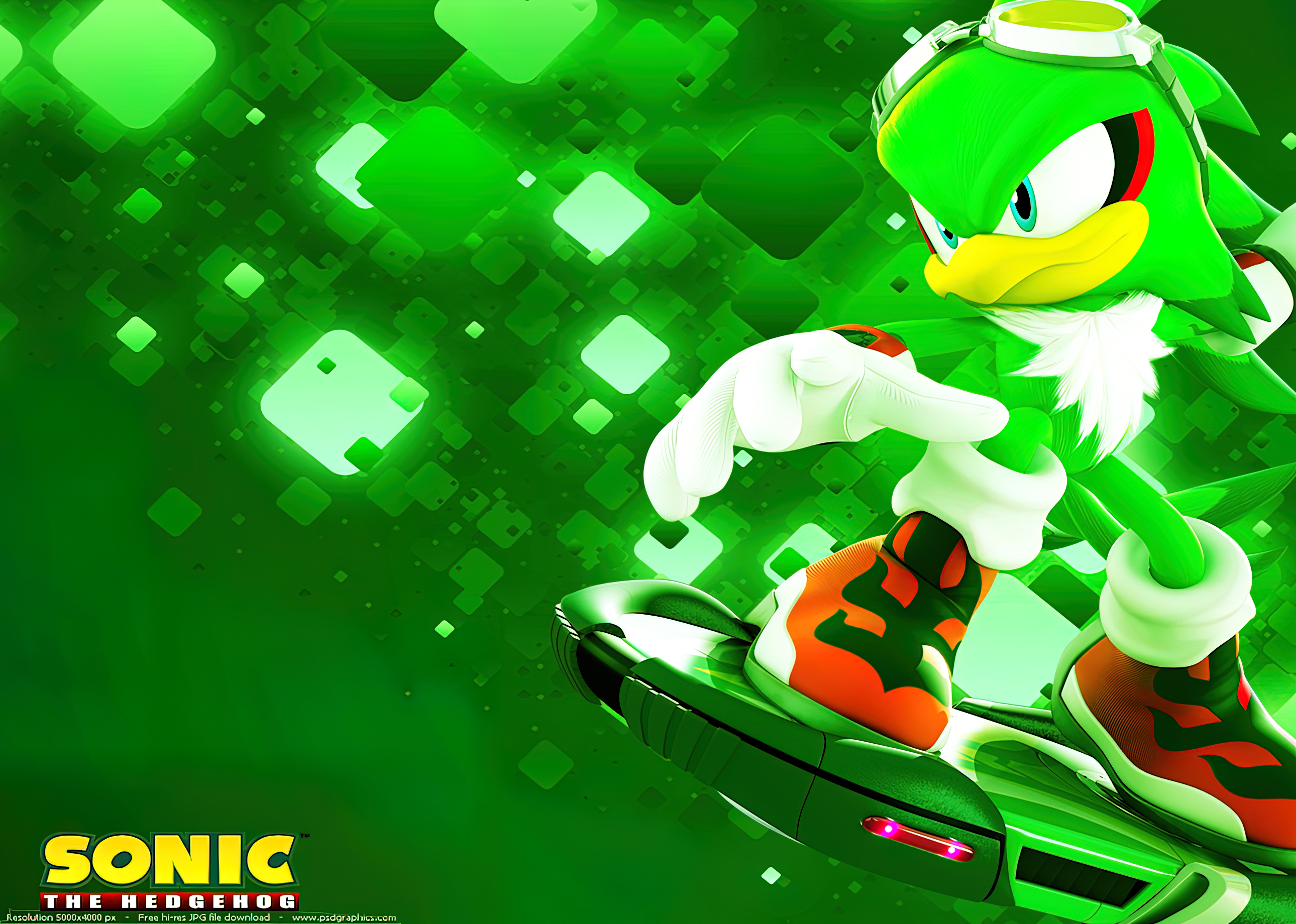 Jet The Hawk Sonic Sonic The Hedgehog Sonic Riders Video Game Art Sega Hawk Animal Anthro Skateboard 2580x1840
