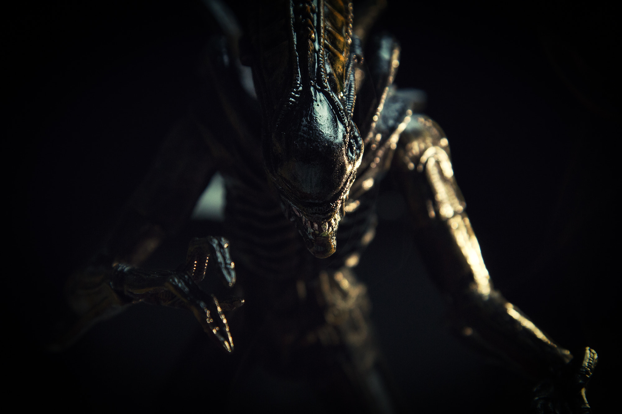Aliens Xenomorph Creature Science Fiction Horror 2000x1333