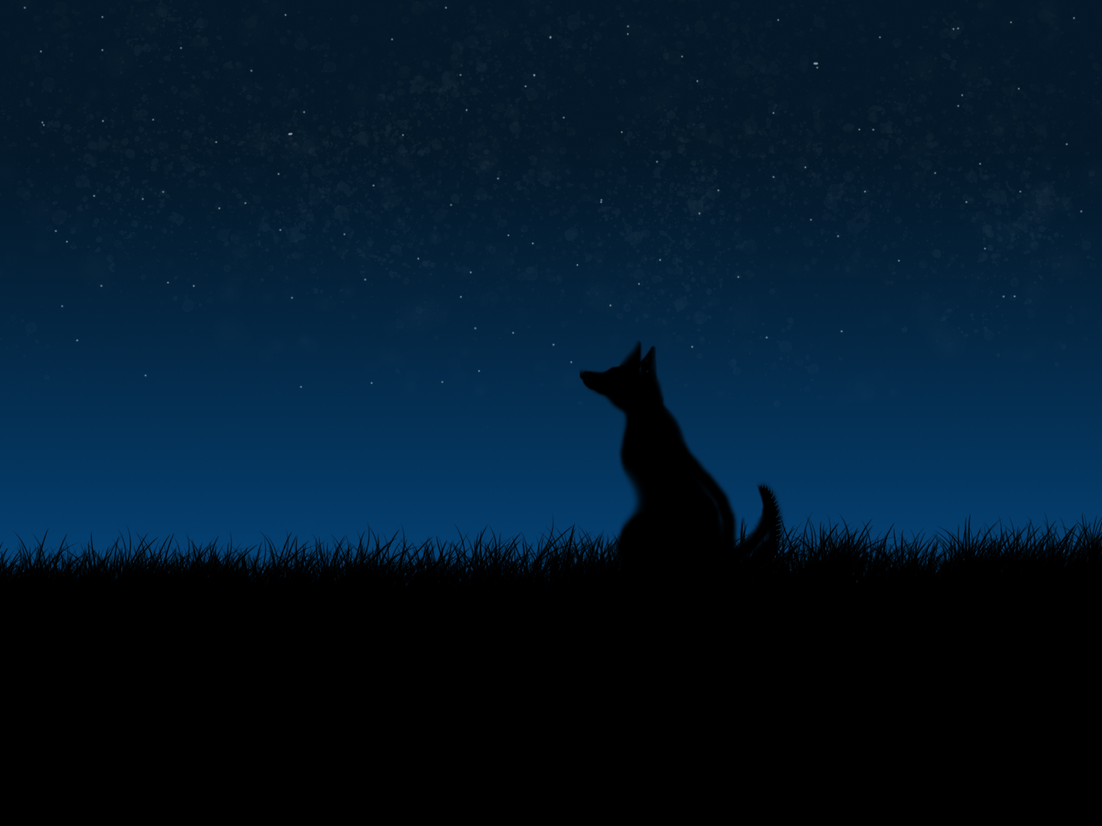 Dog Night Stars Minimalism 1600x1200