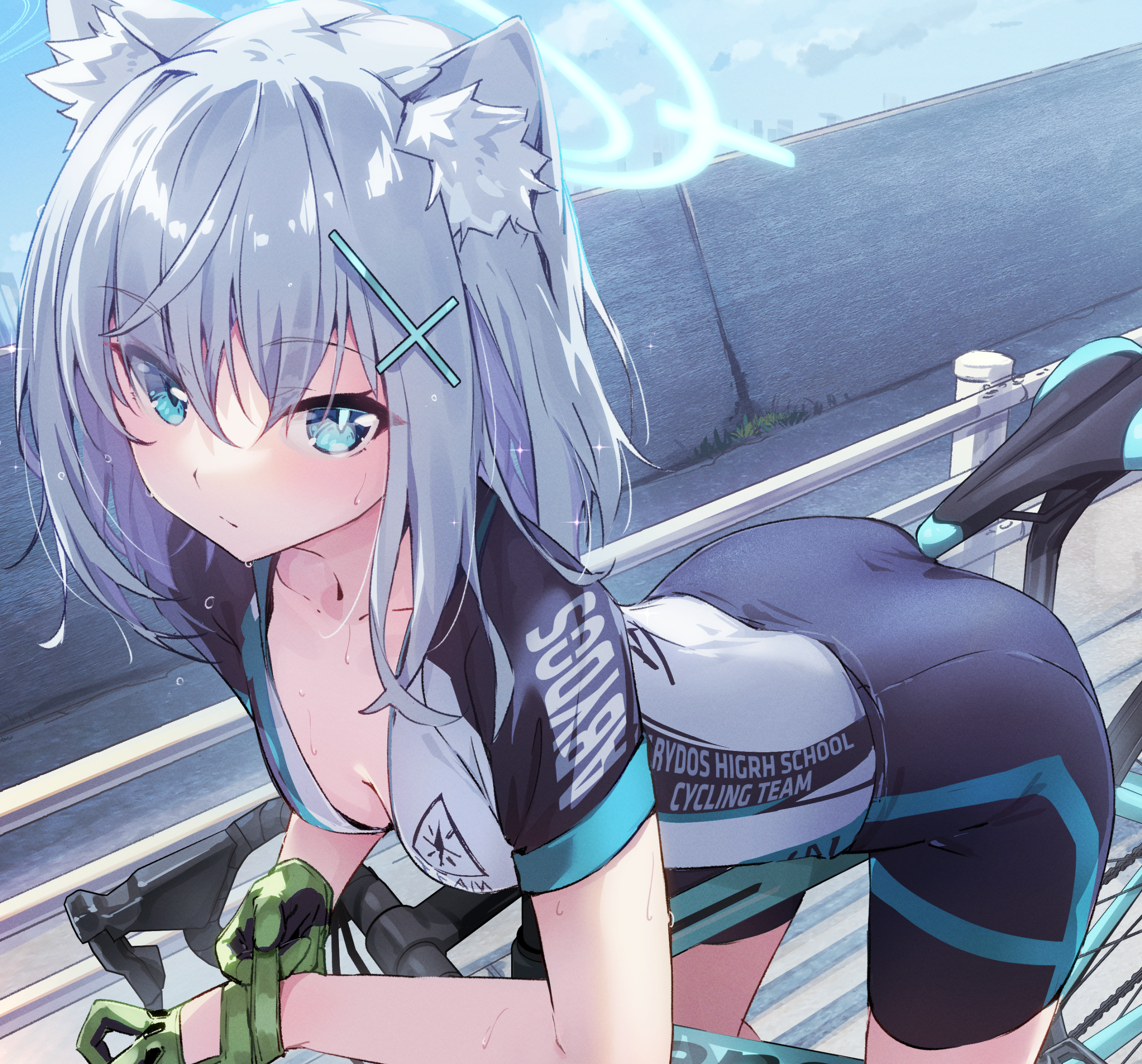 Anime Girls Blue Archive Shiroko Blue Archive Bicycle Blue Hair Blue Eyes Cat Girl Cat Ears Vehicle 2500x2328