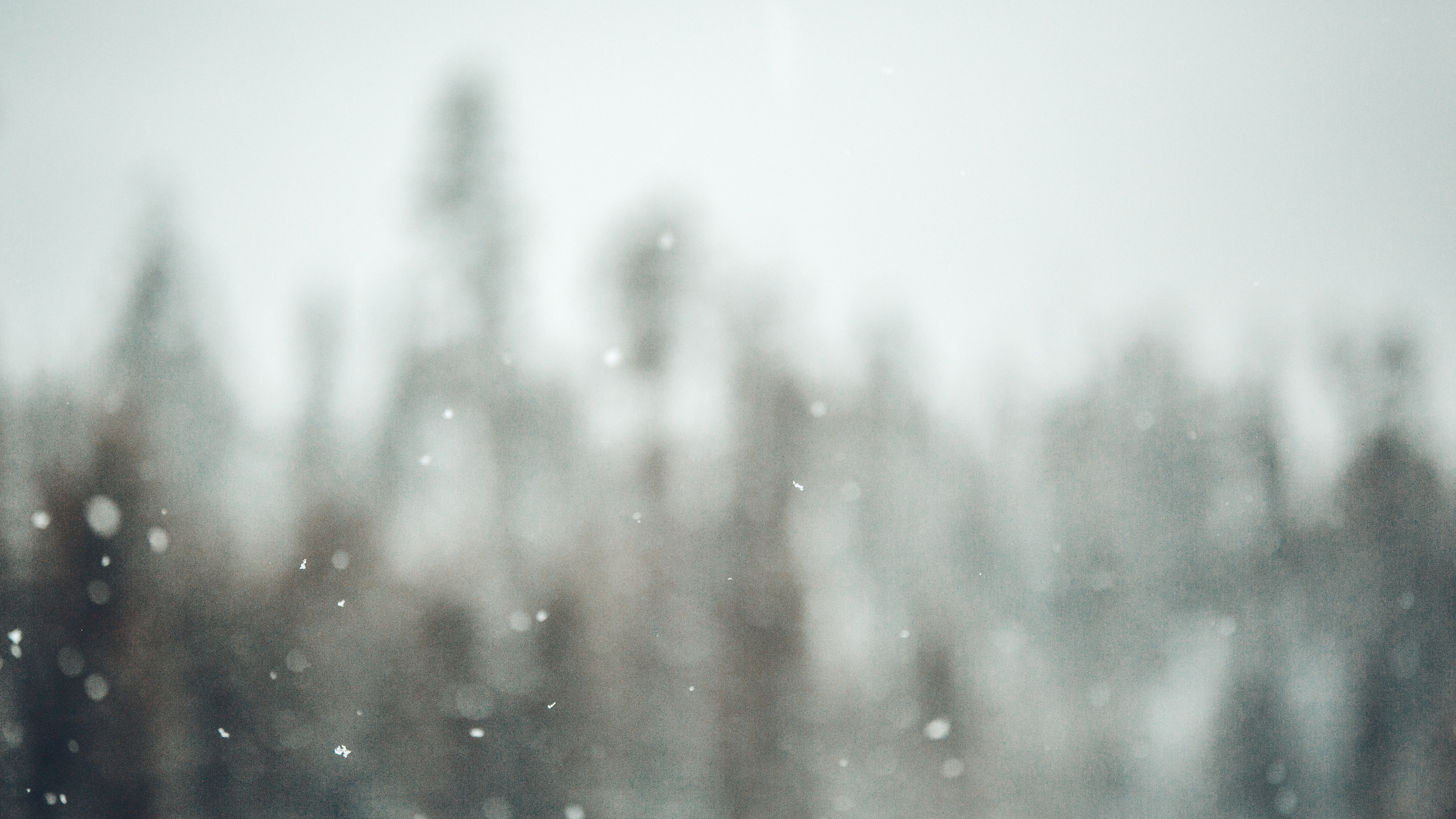 Nature Snow Snowing Forest Trees Landscape Pine Trees Photography Winter Blurred 5760x3240