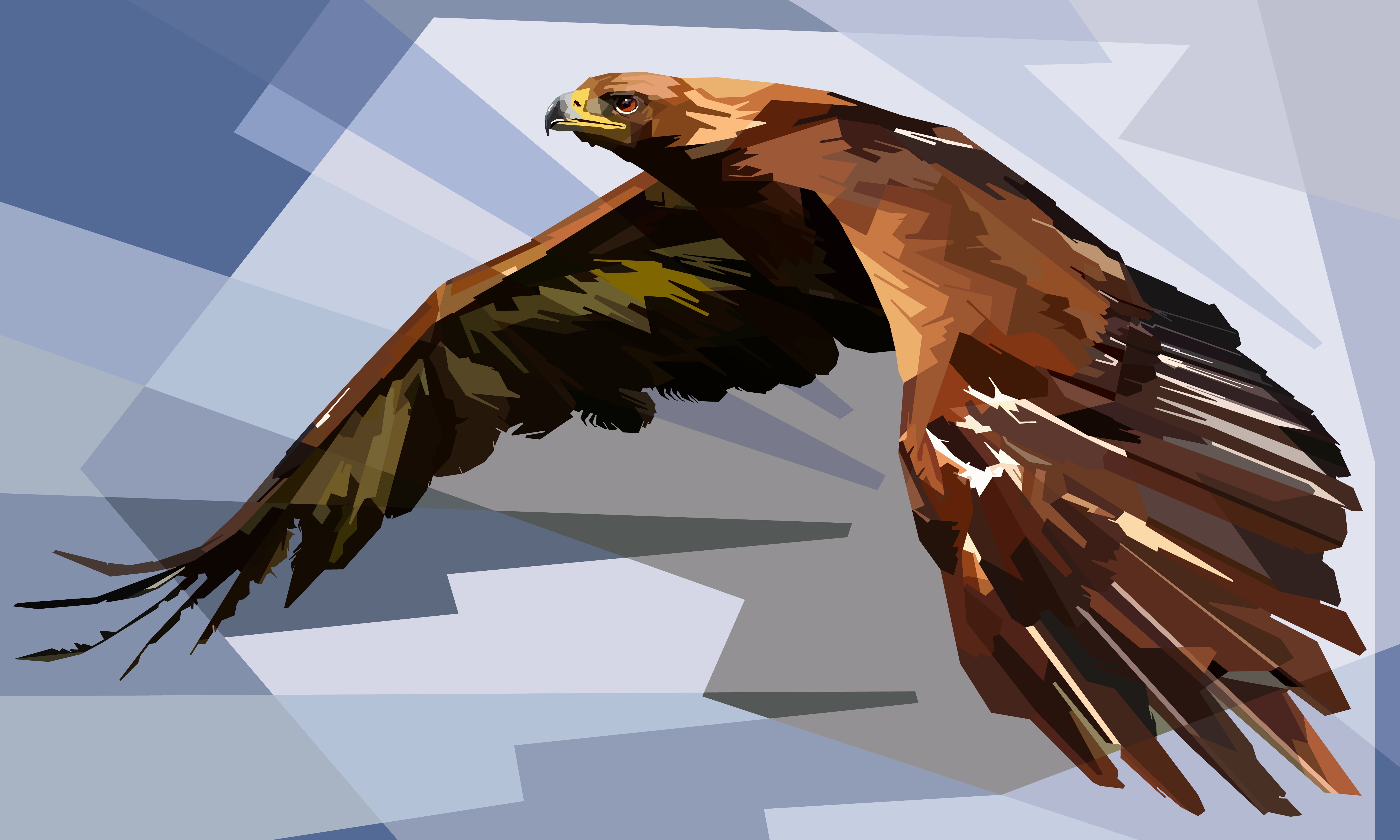 Bird Eagle 5167x3100