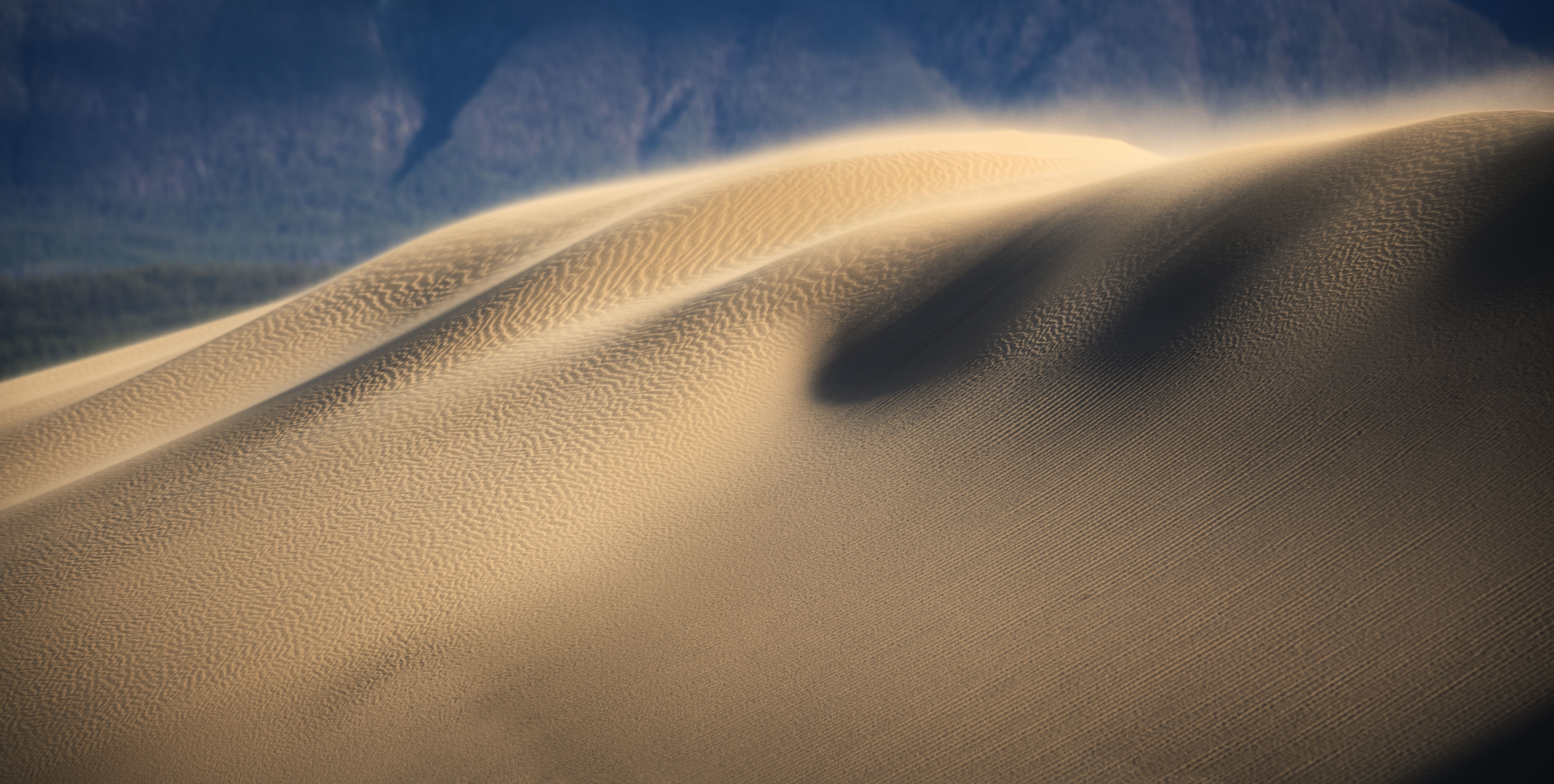 Sandstorms Dunes Desert Landscape Wavy Sand 9953x5025