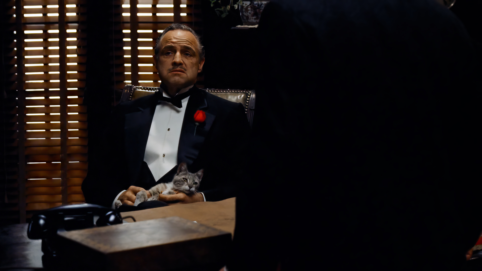The Godfather Vito Corleone Movies Film Stills Marlon Brando Cats Table Phone Chair Mafia Gangster F 1920x1080