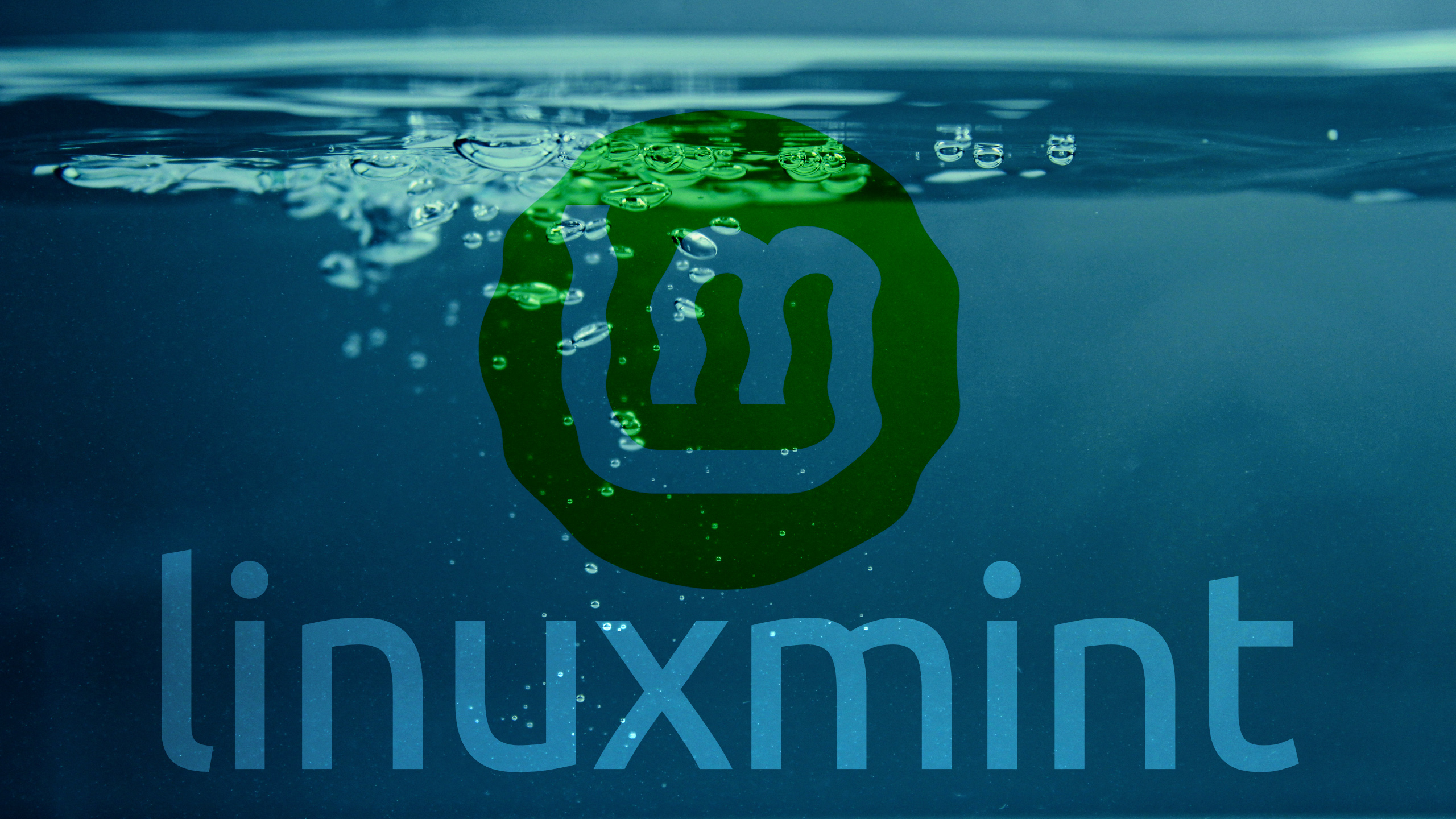 Linux Linux Mint Water Simple Background 2560x1440