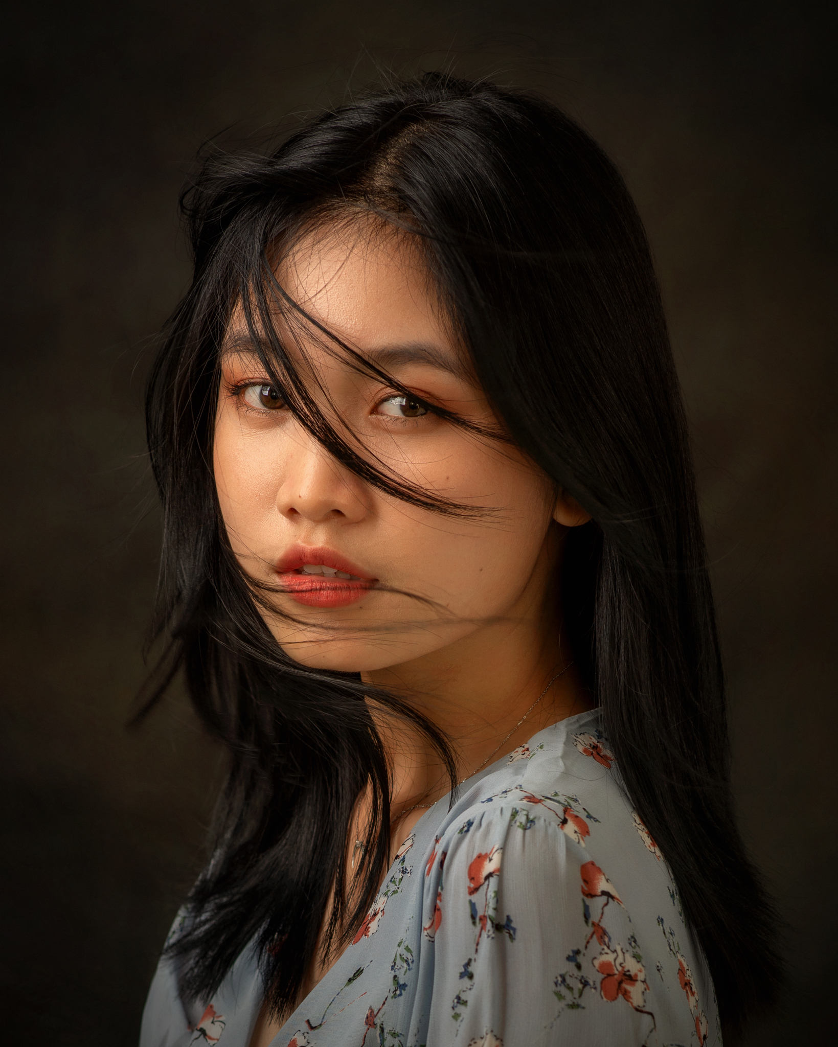 Hoang Nguyen Women Dark Hair Looking At Viewer Hair In Face Dress Portrait Simple Background Asian 1639x2048