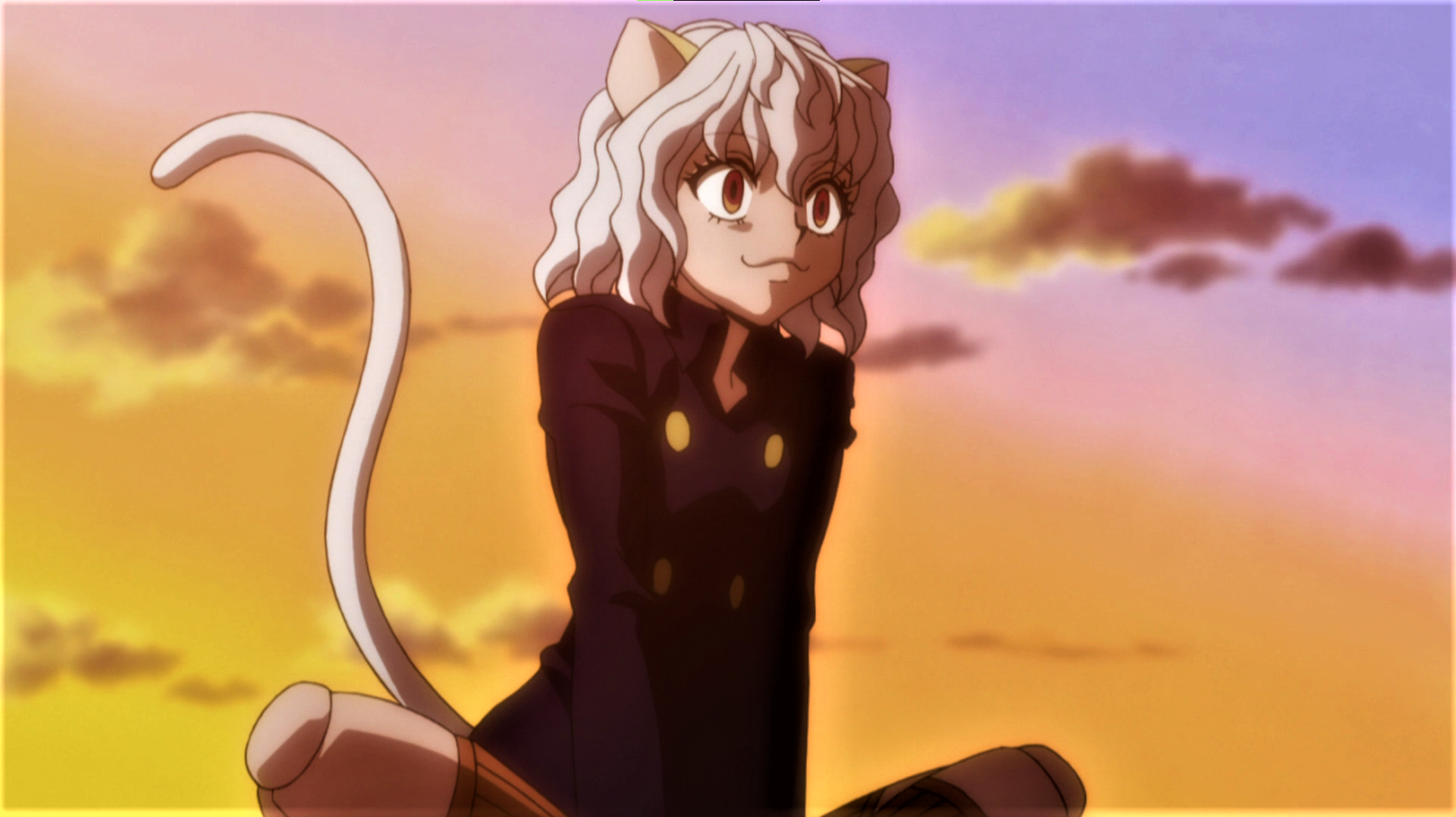 Hunter X Hunter White Hair Neferpitou Cat Ears Tail Cat Girl Sky Clouds Sunset Sunset Glow Anime Ani 1920x1078