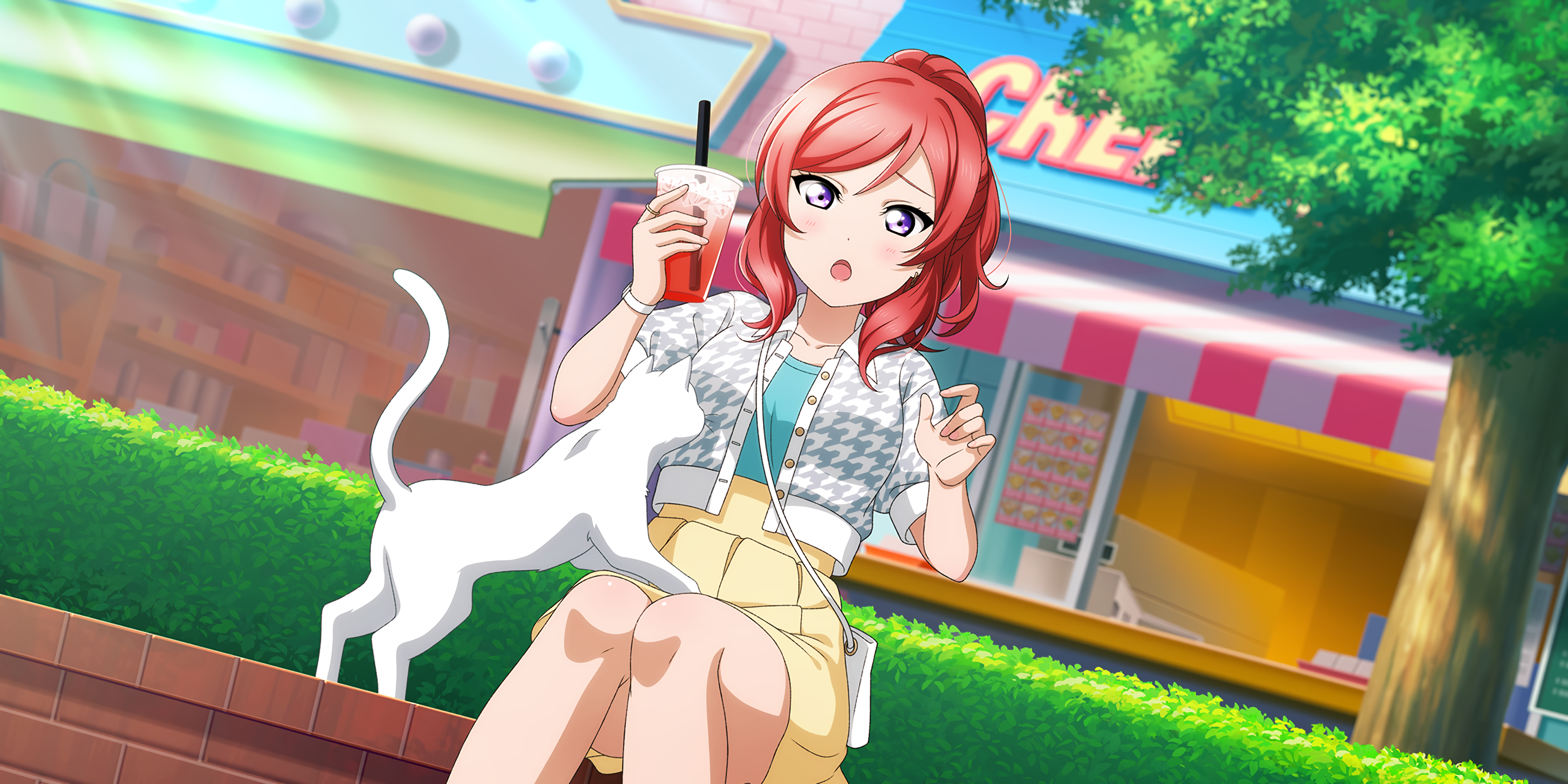 Nishikino Maki Love Live Anime Girls Drink Cats Animals Redhead Sitting Sunlight Purse 3600x1800