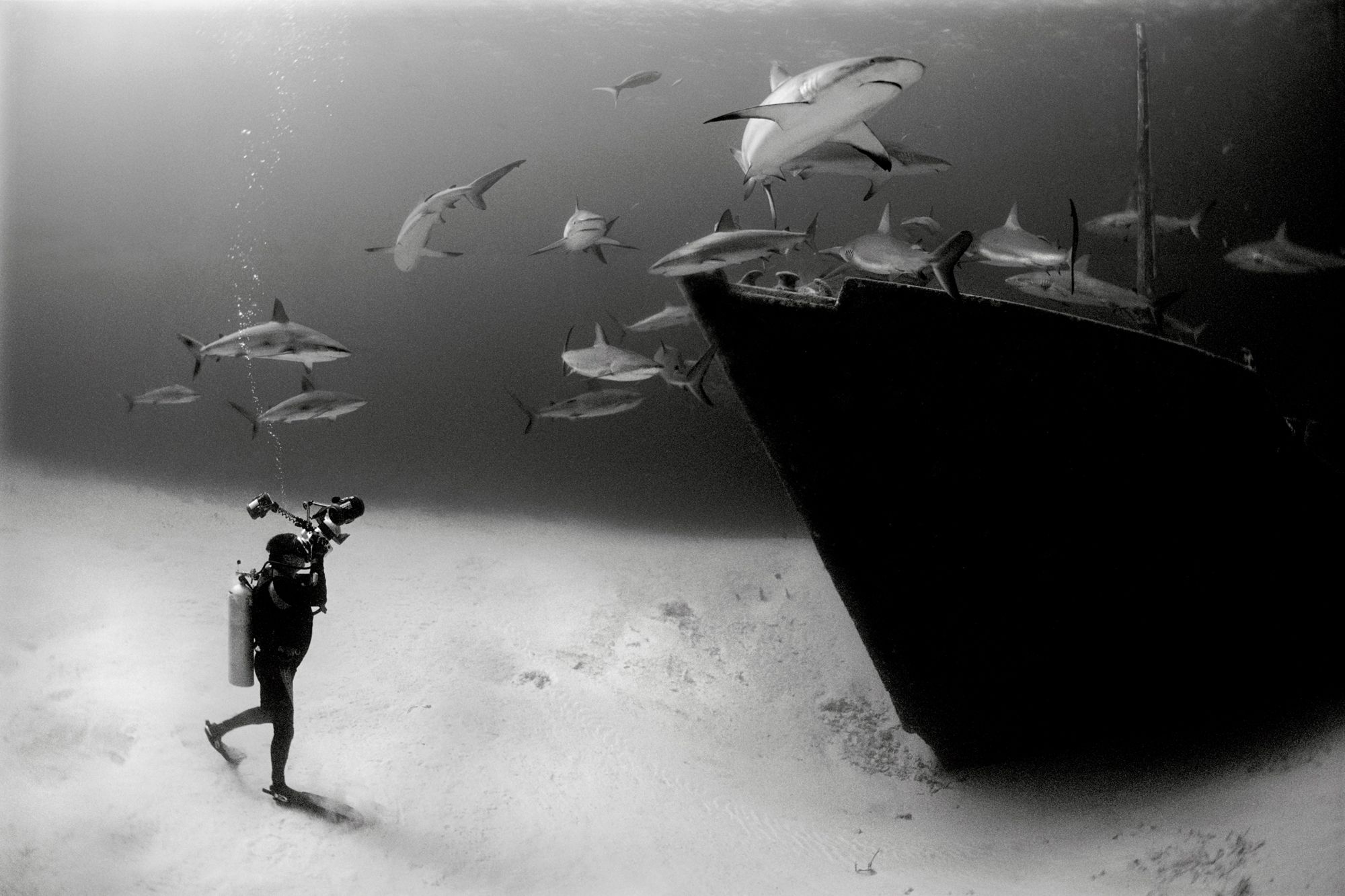 National Geographic Photography Underwater Shark Monochrome Shipwreck 2000x1333