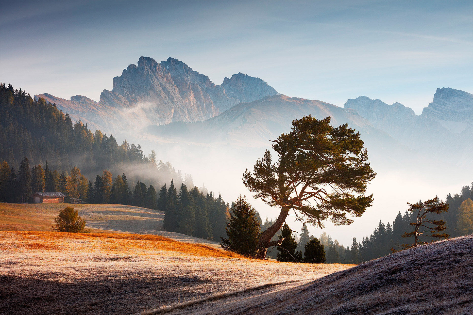 Nature Landscape Trees Martin Rak Dolomites Italy Morning Mist Clouds Mountains Valley Forest 1920x1280
