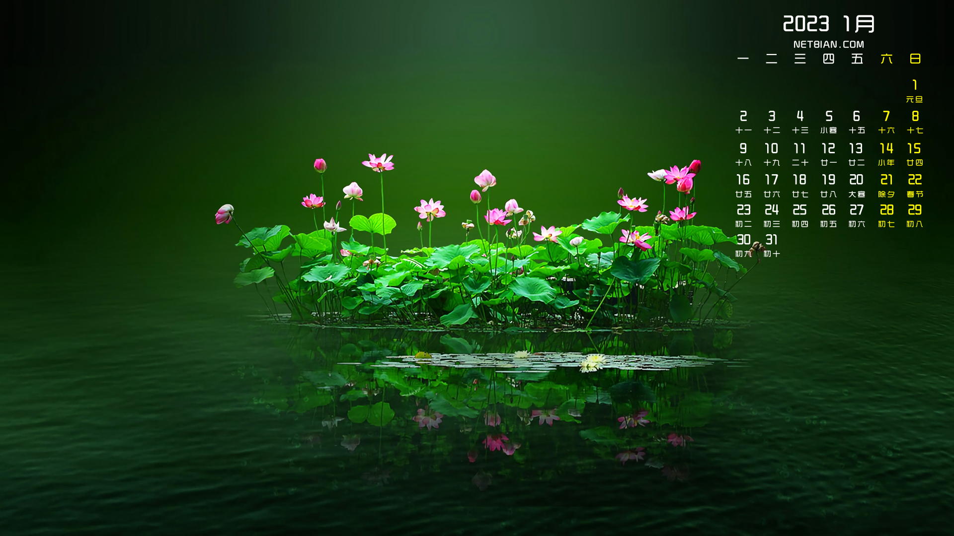 Calendar Water Reflection Leaves Flowers Simple Background Minimalism Japanese 1920x1080