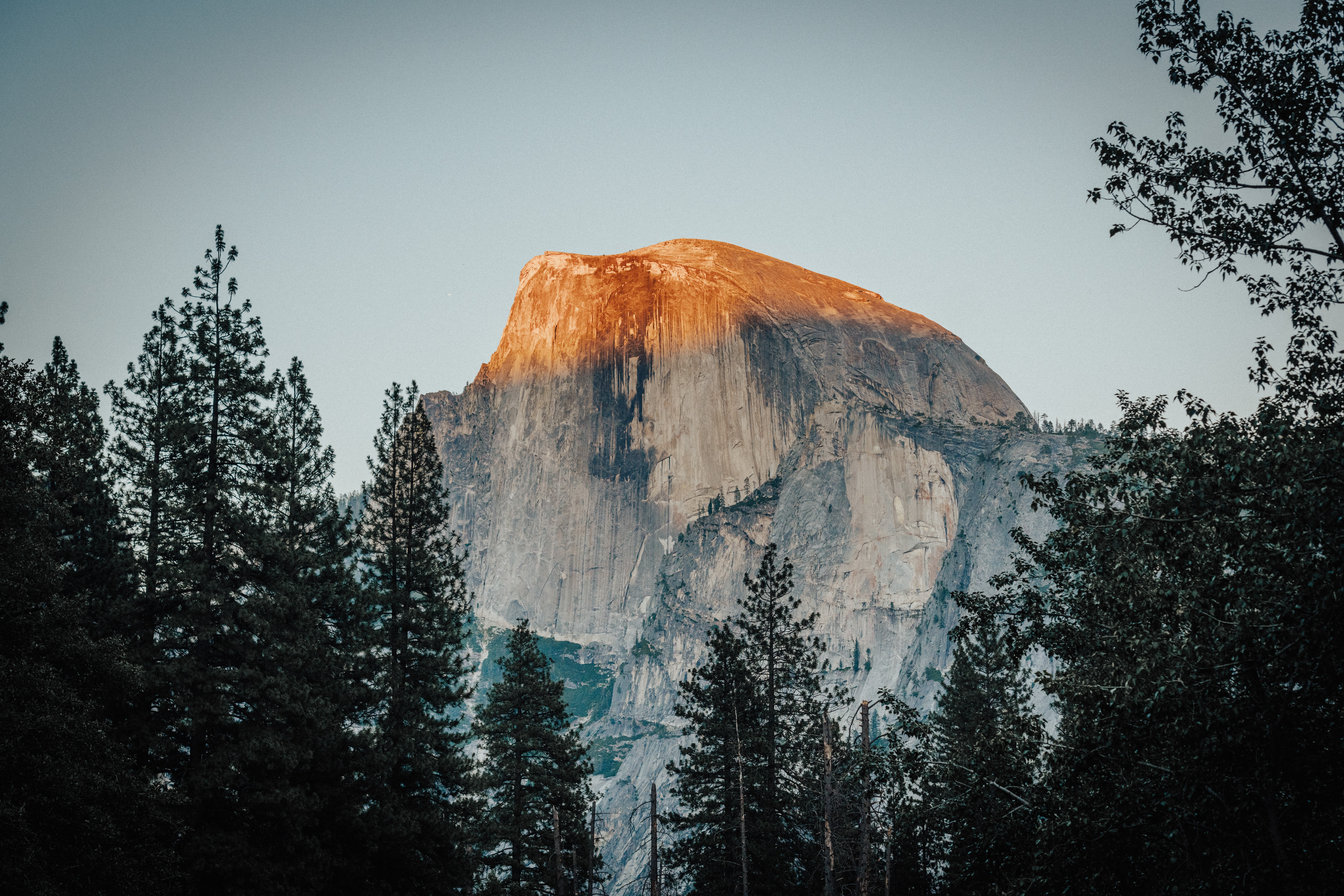 Earth Yosemite National Park 8256x5504