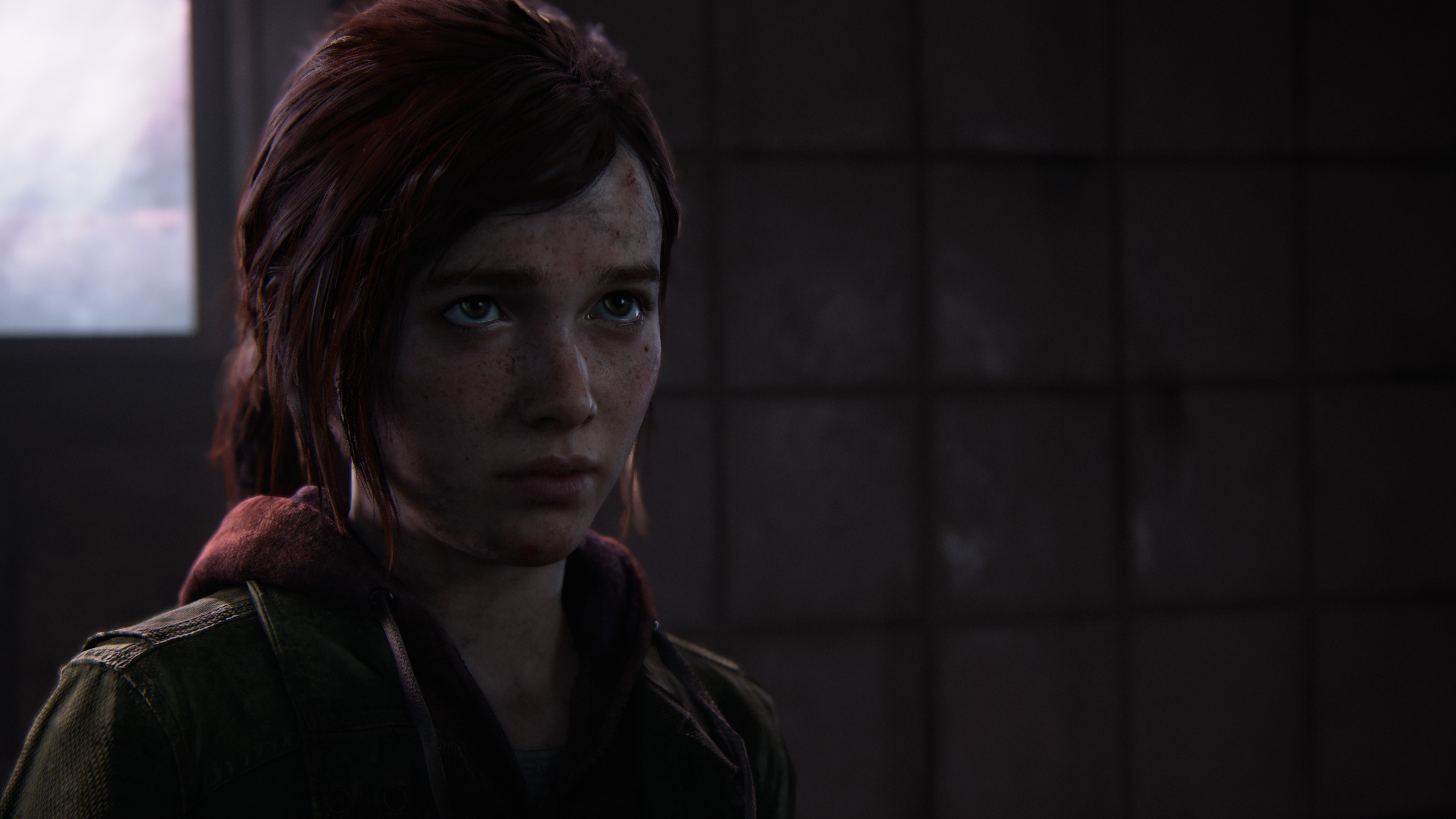 The Last Of Us Ellie Williams Video Games Short Hair Video Game Girls Freckles Video Game Art Interi 2560x1440