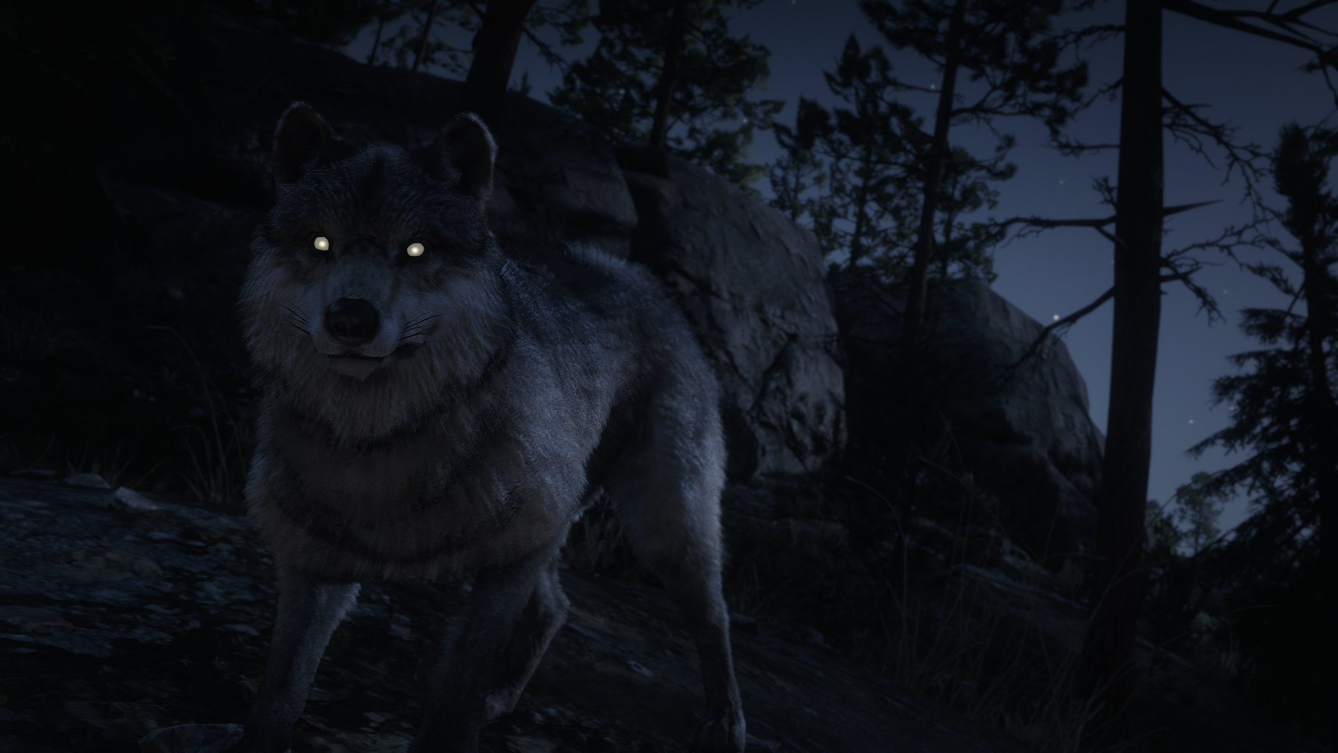 Red Dead Redemption 2 Animals Wolf 3D 1920x1080