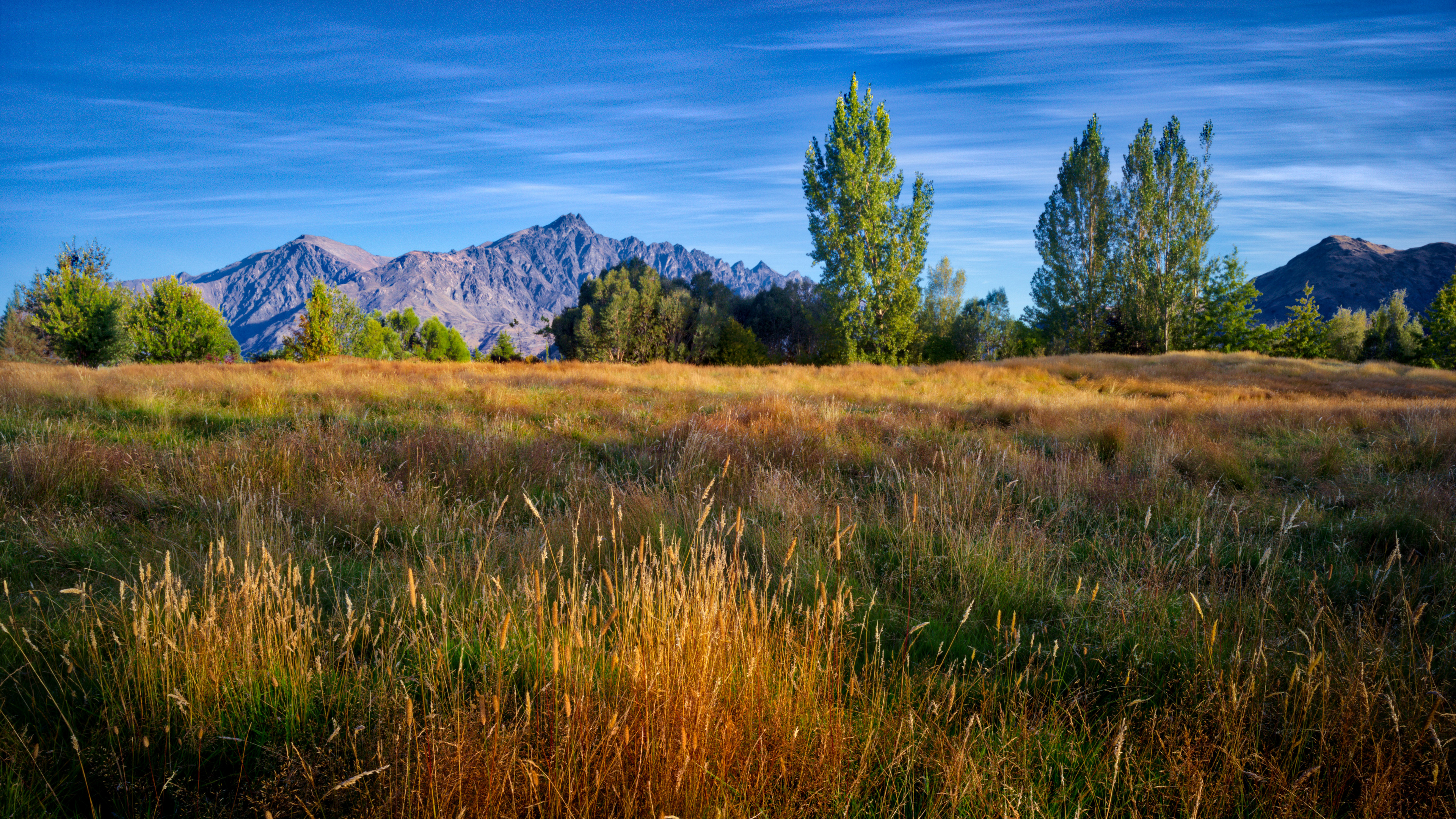 Landscape 4K Mountains Sky Field Grass Trees New Zealand Queenstown Nature 3840x2160