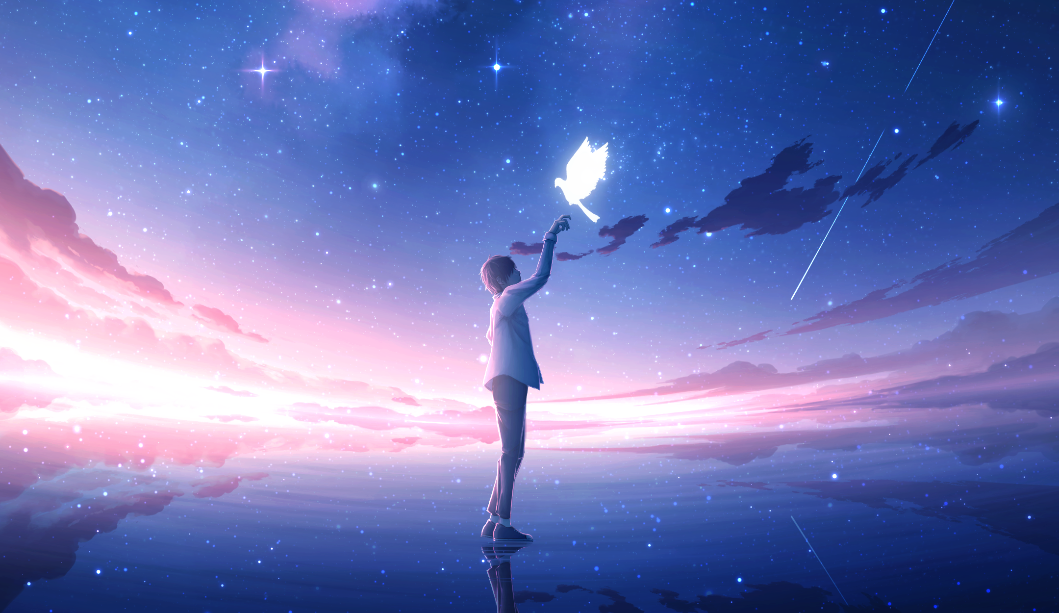 Starry Night Anime Boys Anime Reflection Stars Birds 2160x1250