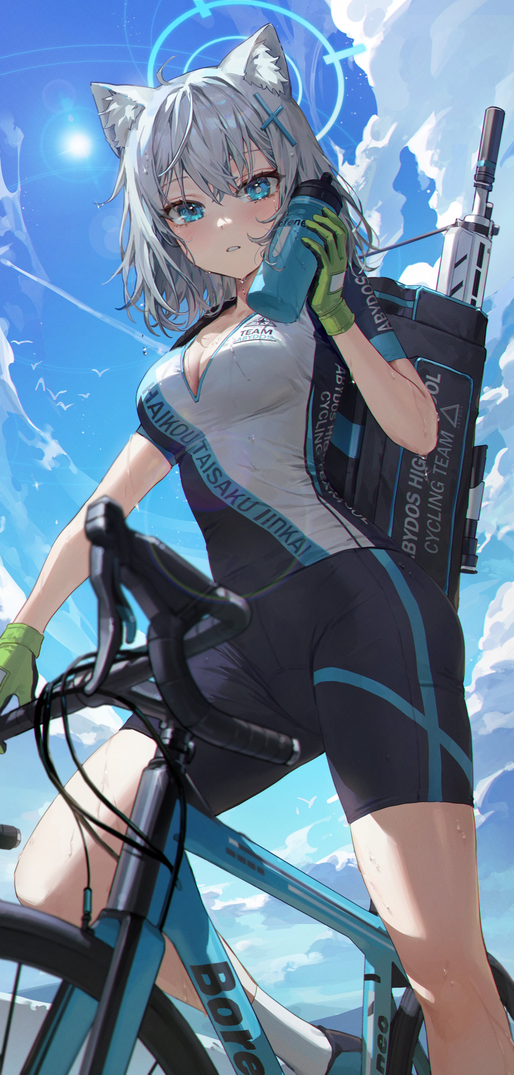 Anime Anime Girls Fox Girl Fox Ears Sports Shorts Bicycle Blue Eyes Silver Hair Clouds Gun 1960x4096