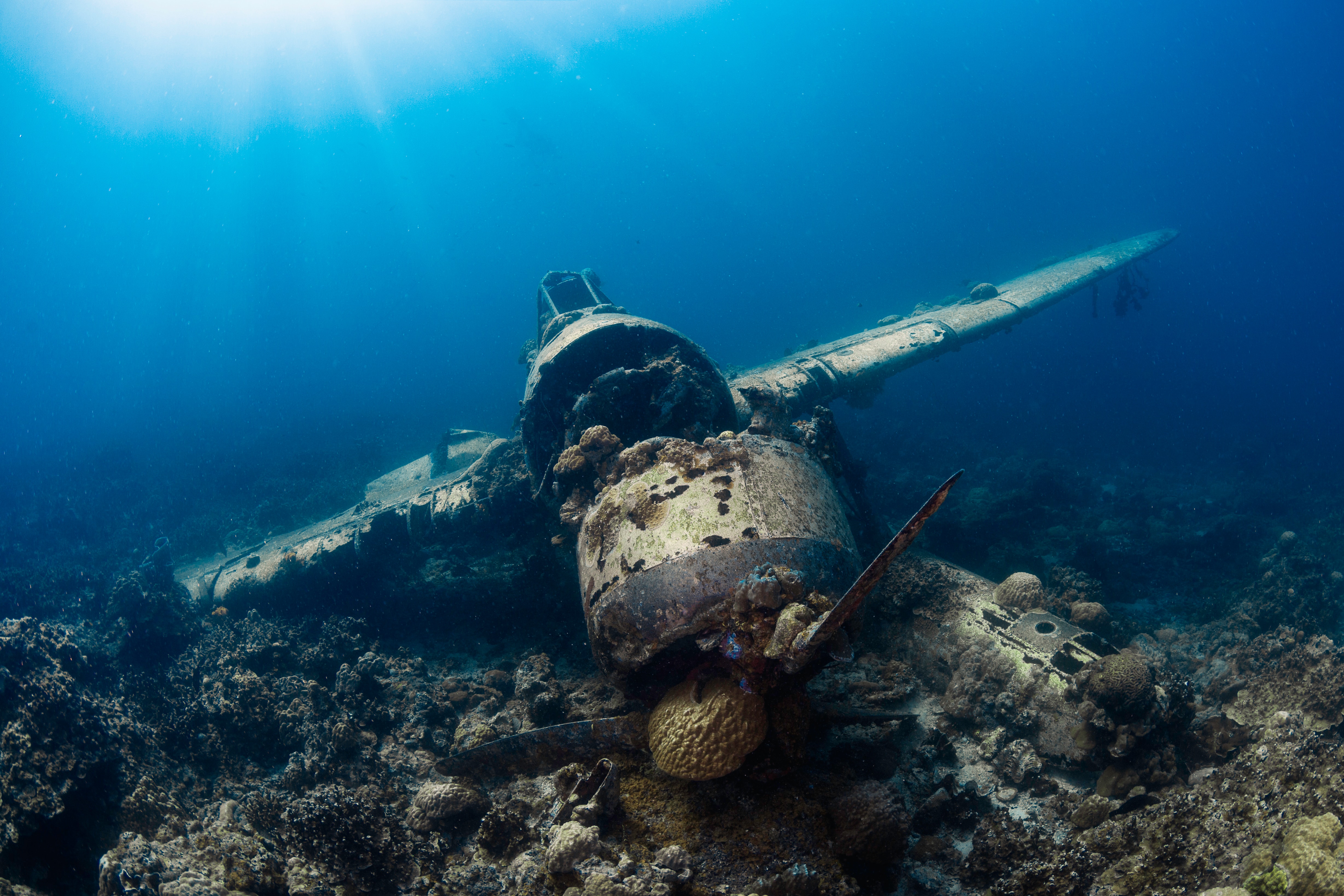 World War Ii United States Navy Aircraft Underwater Wreckage 4914x3276