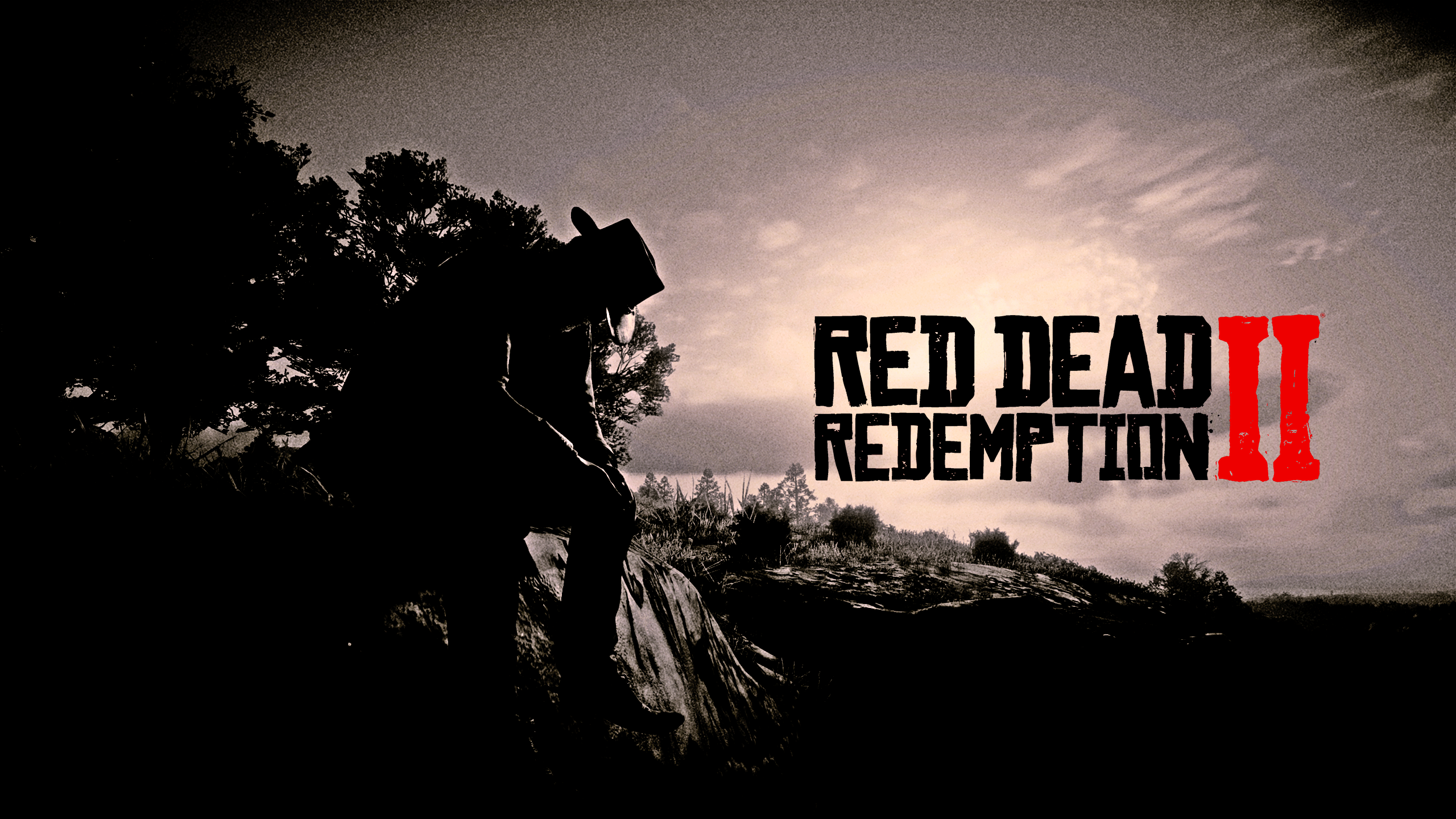 Red Dead Redemption Red Dead Redemption 2 Rockstar Games Cowboy Video Game Characters CGi Video Game 2560x1440