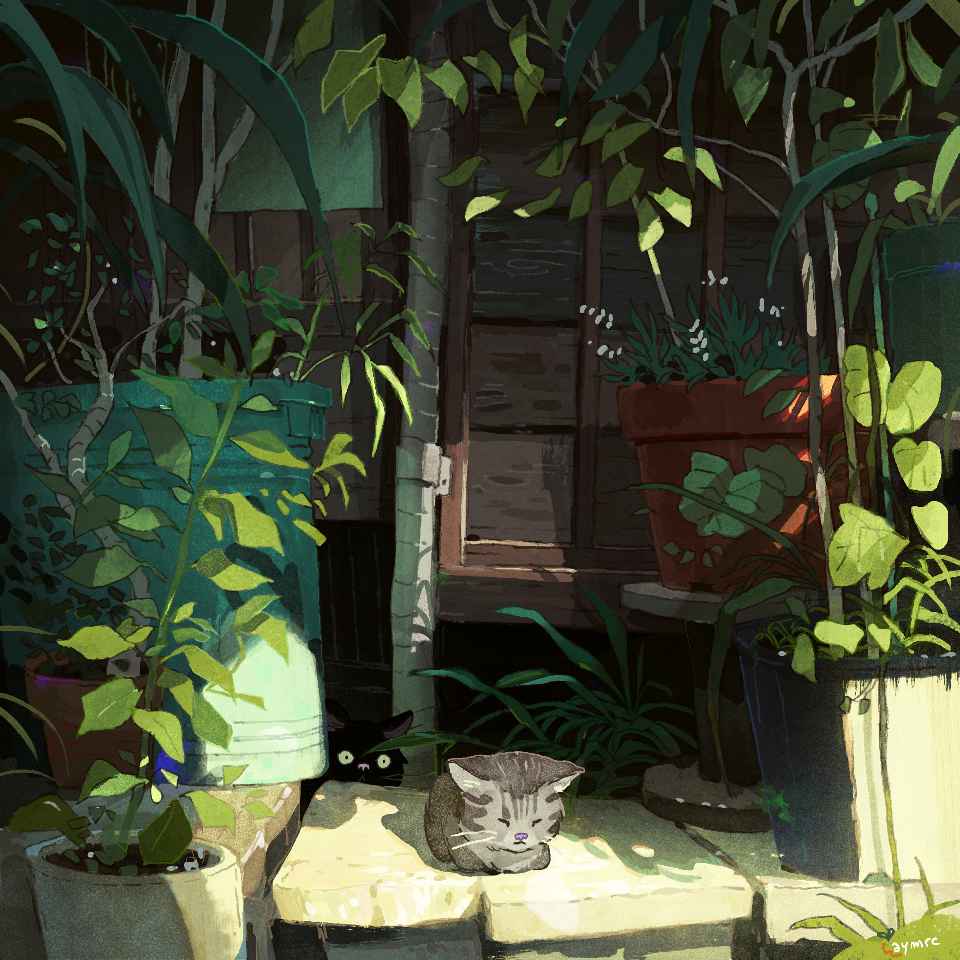 Peaceful Plant Pot Plants Bangjoy Digital Painting Cats Warming In Sunlight Leaves Sunlight Animals 4000x4000