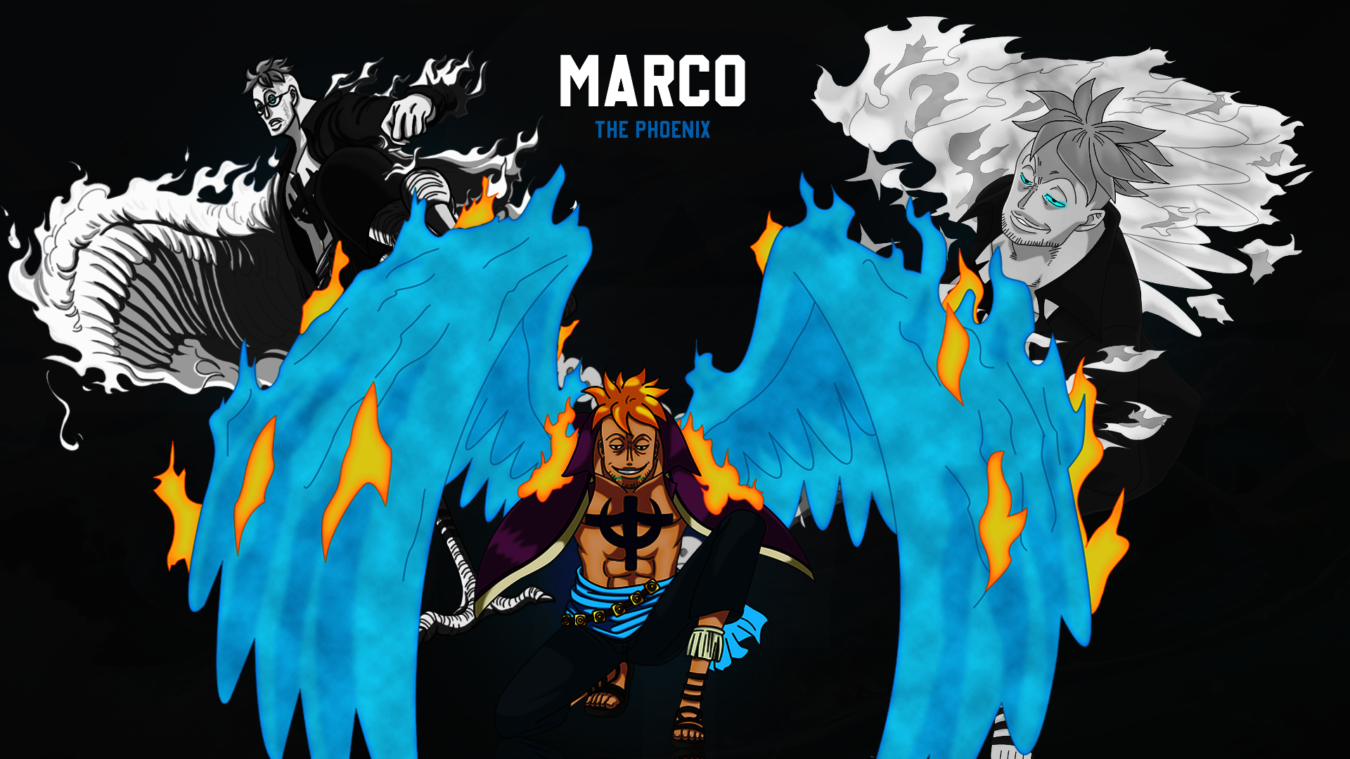 Marco De Phoenix One Piece Anime Boys Blue Wings Wallpaper -  Resolution:1920x1080 - ID:1327643 