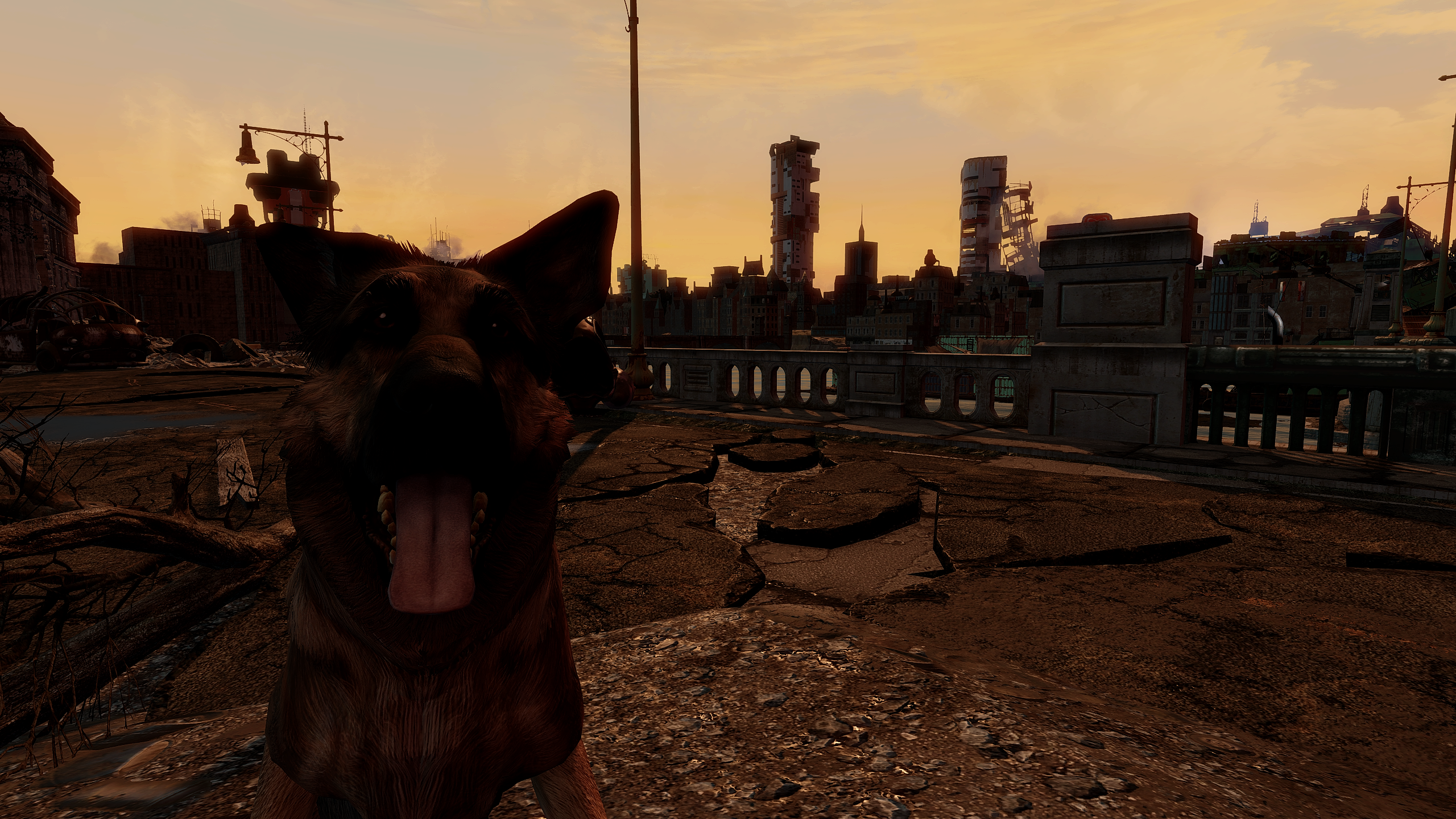 Video Games CGi Fallout 4 Dogmeat Bethesda Softworks Dog Animals Video Game Art Sunset Sunset Glow C 2560x1440
