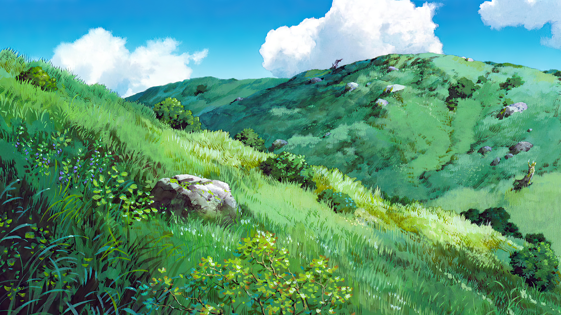 Princess Mononoke Animated Movies Anime Animation Film Stills Studio Ghibli Hayao Miyazaki Field Mou 1920x1080