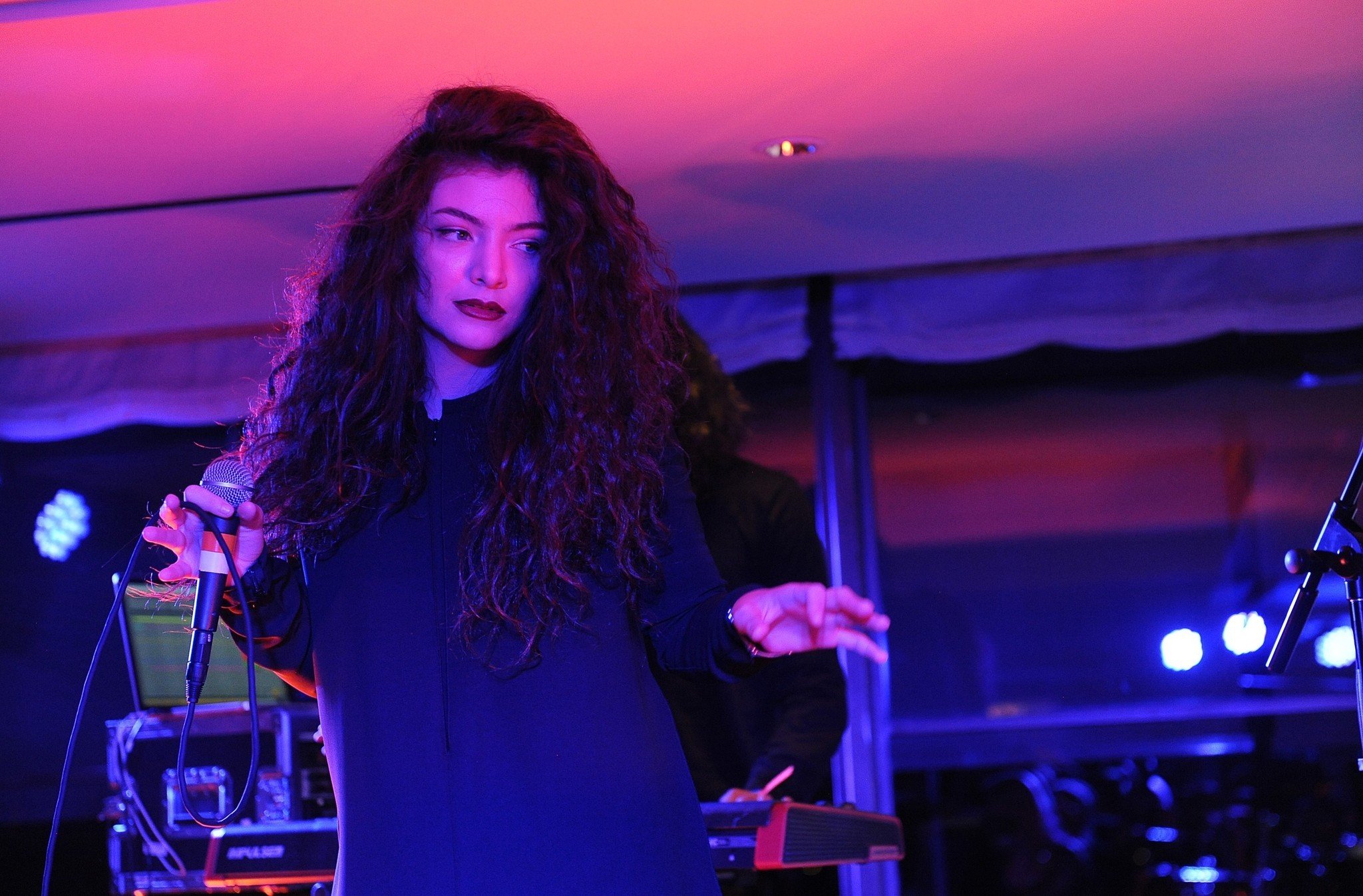 Lorde Women Singer Brunette Curly Hair Long Hair Concerts 2048x1347
