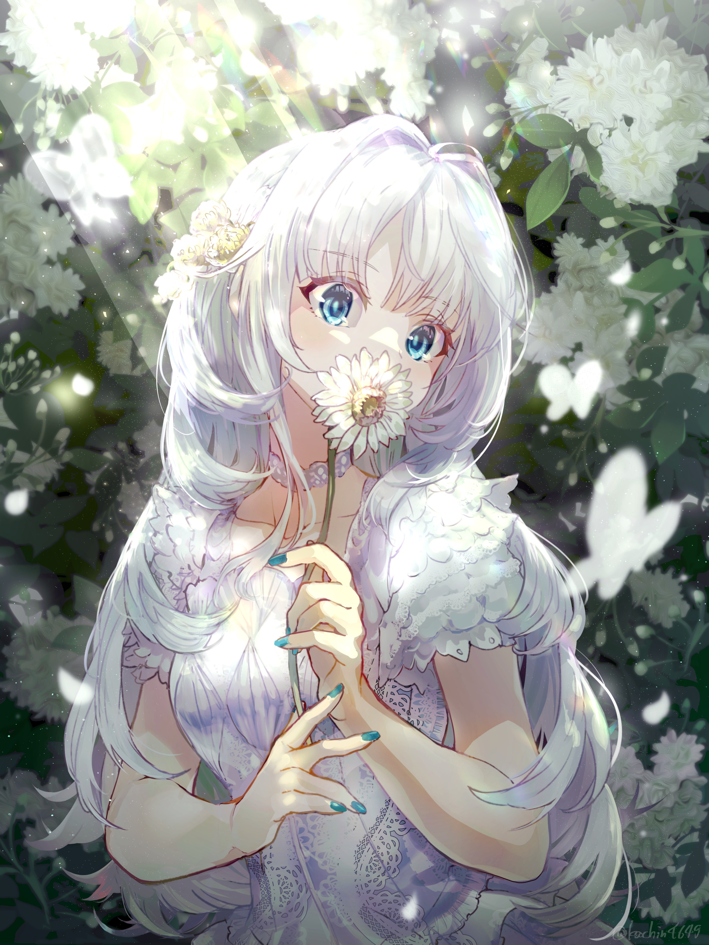 Anime Anime Girls White Hair Blue Eyes Dandelion Flowers Petals Butterfly  Wallpaper - Resolution:2389x3187 - ID:1351390 