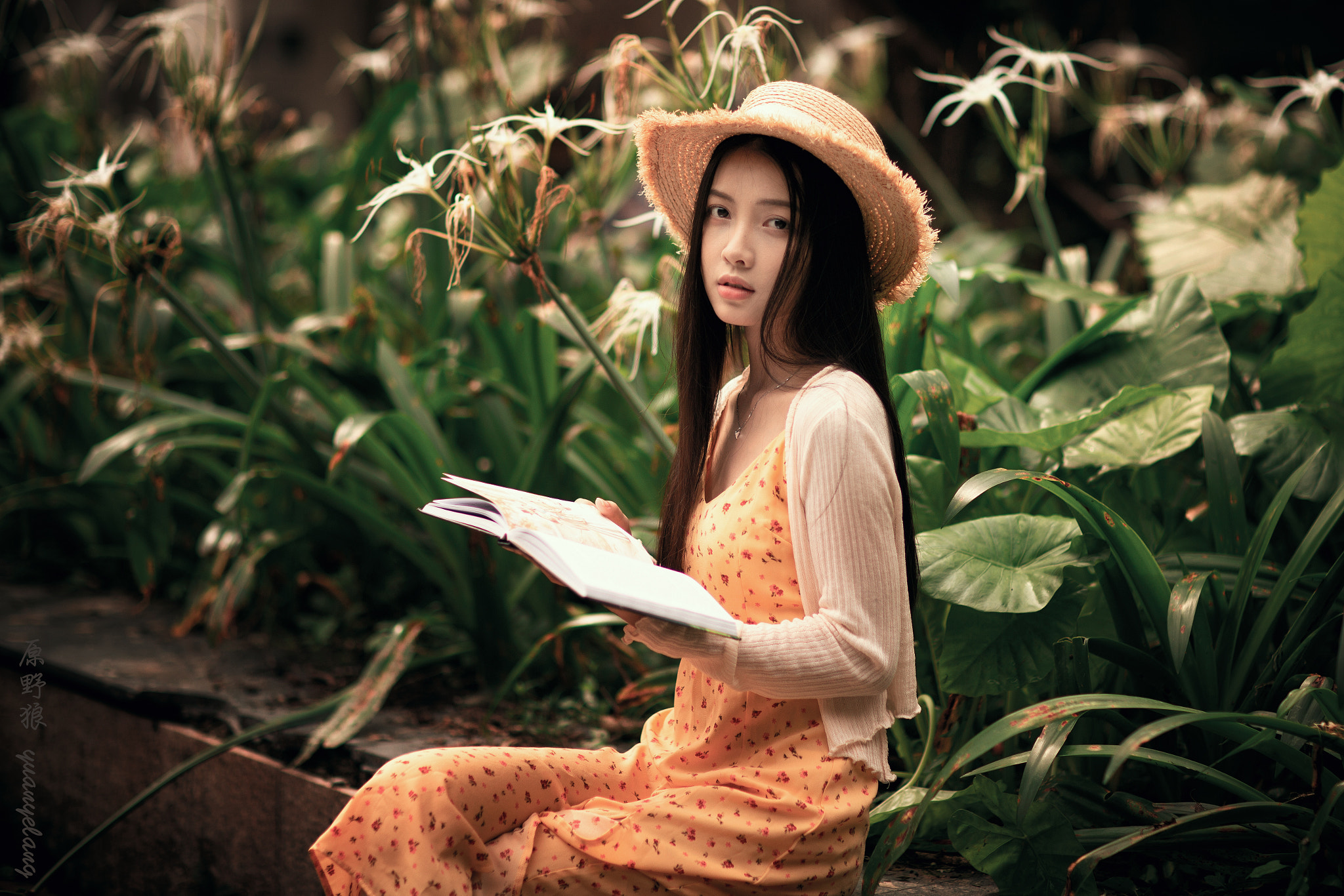 Yuan Yelang Women Asian Hat Brunette Long Hair Straight Hair Books Dress Orange Clothing Plants Look 2048x1366