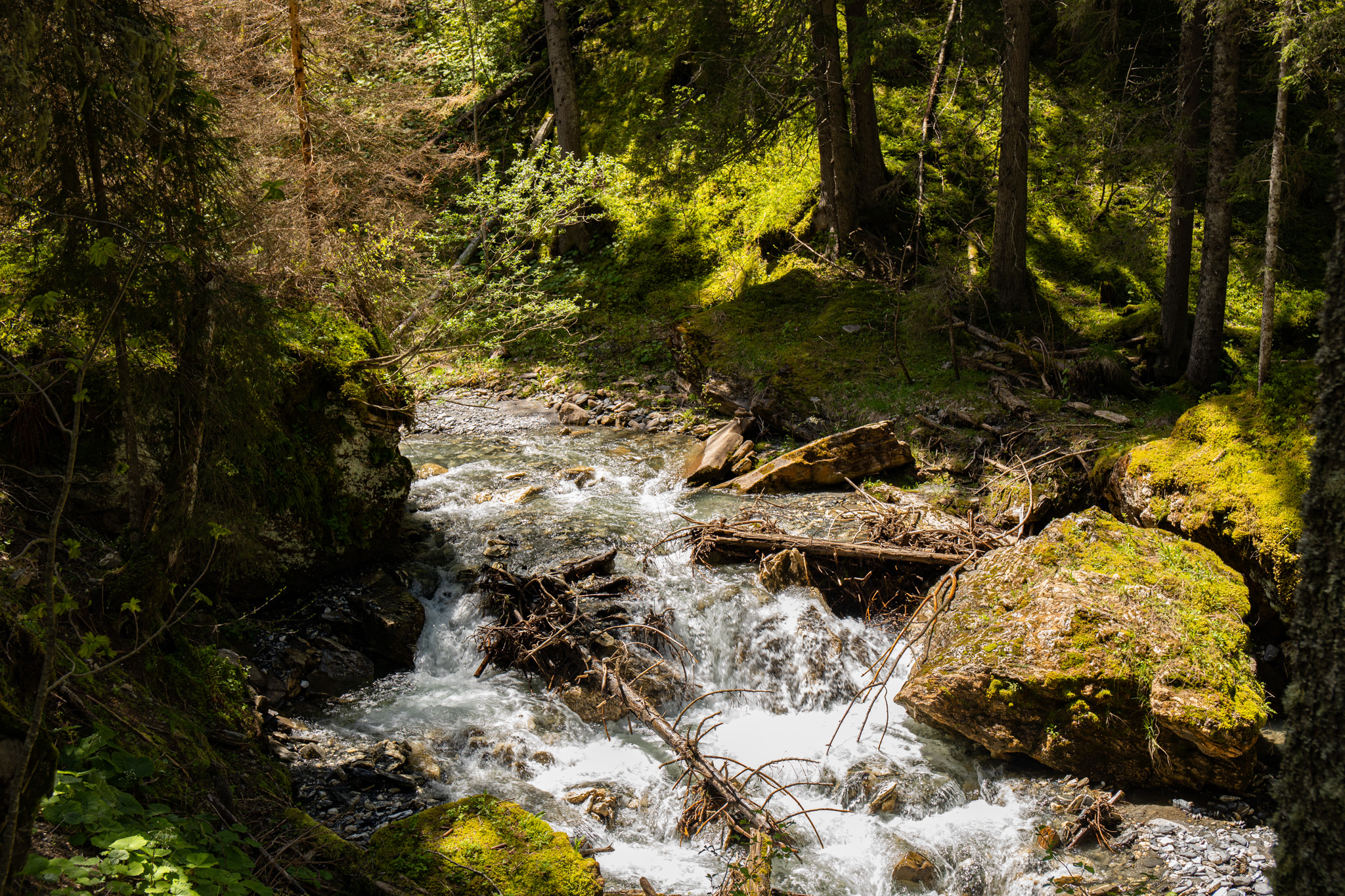 Outdoors Nature Photography Greenery Trees Forest Stream Water Rocks Moss Lichen 2048x1365