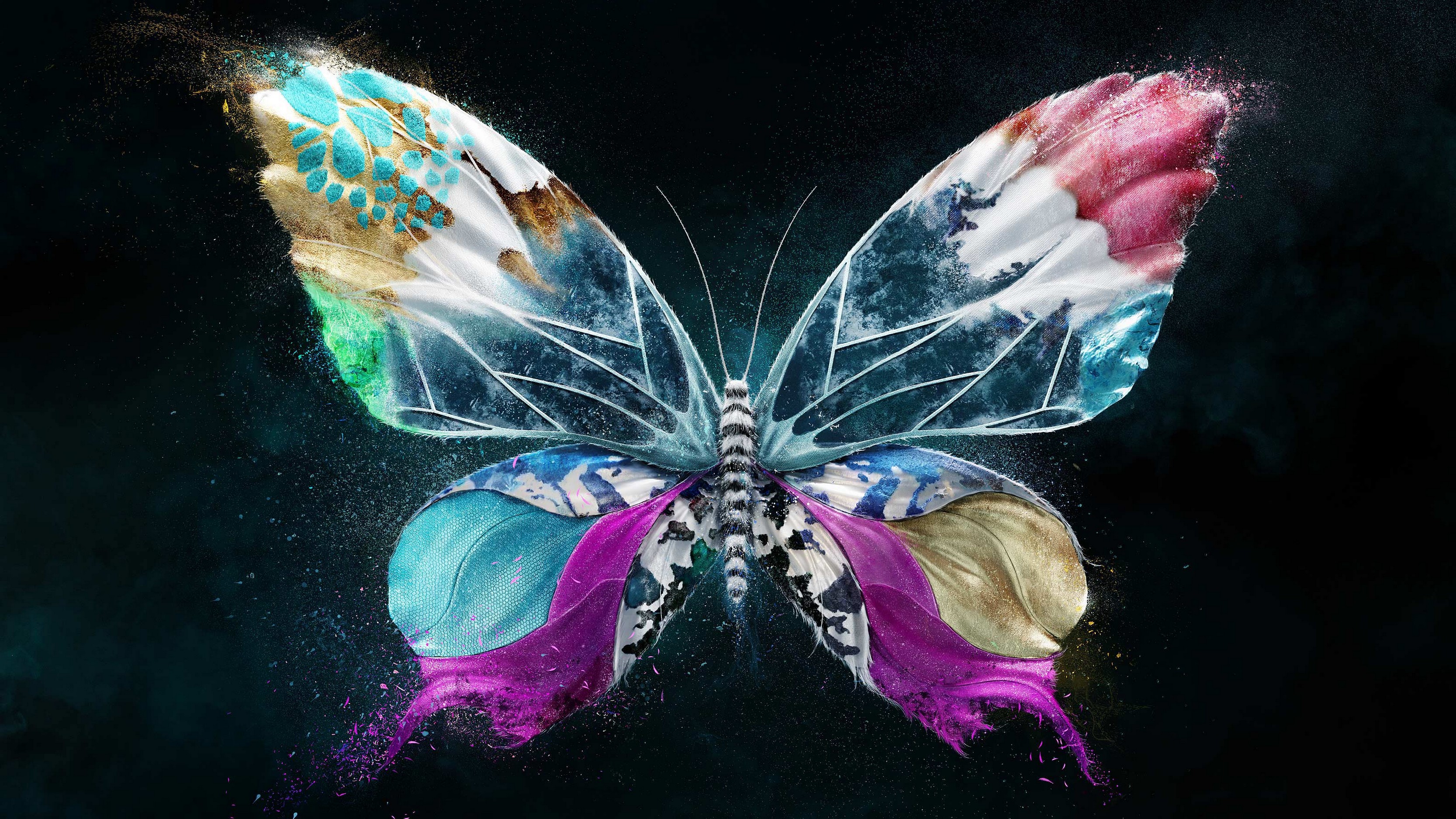 Artwork Butterfly Dark Background Insect Simple Background Minimalism Colorful Butterfly Wings 3333x1875