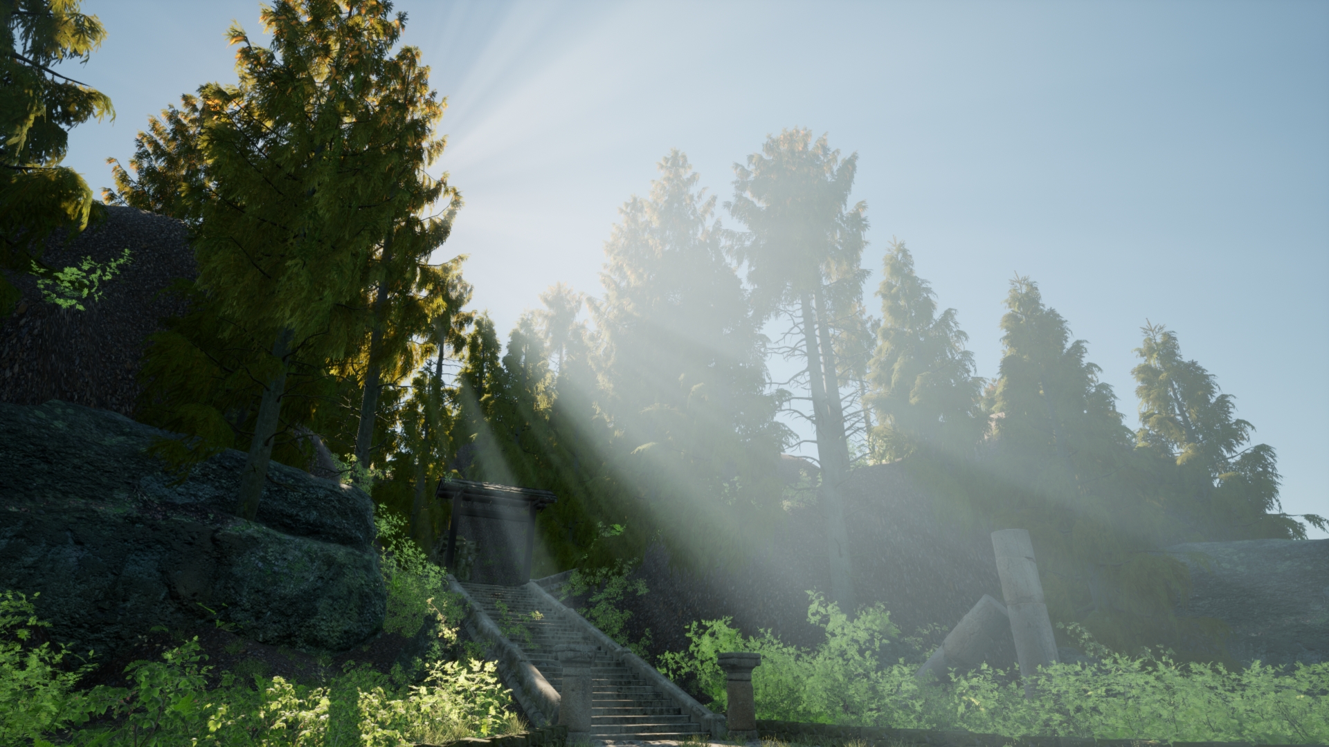 Forest Sunshine Sunlight Steps Trees Stairs 1920x1080