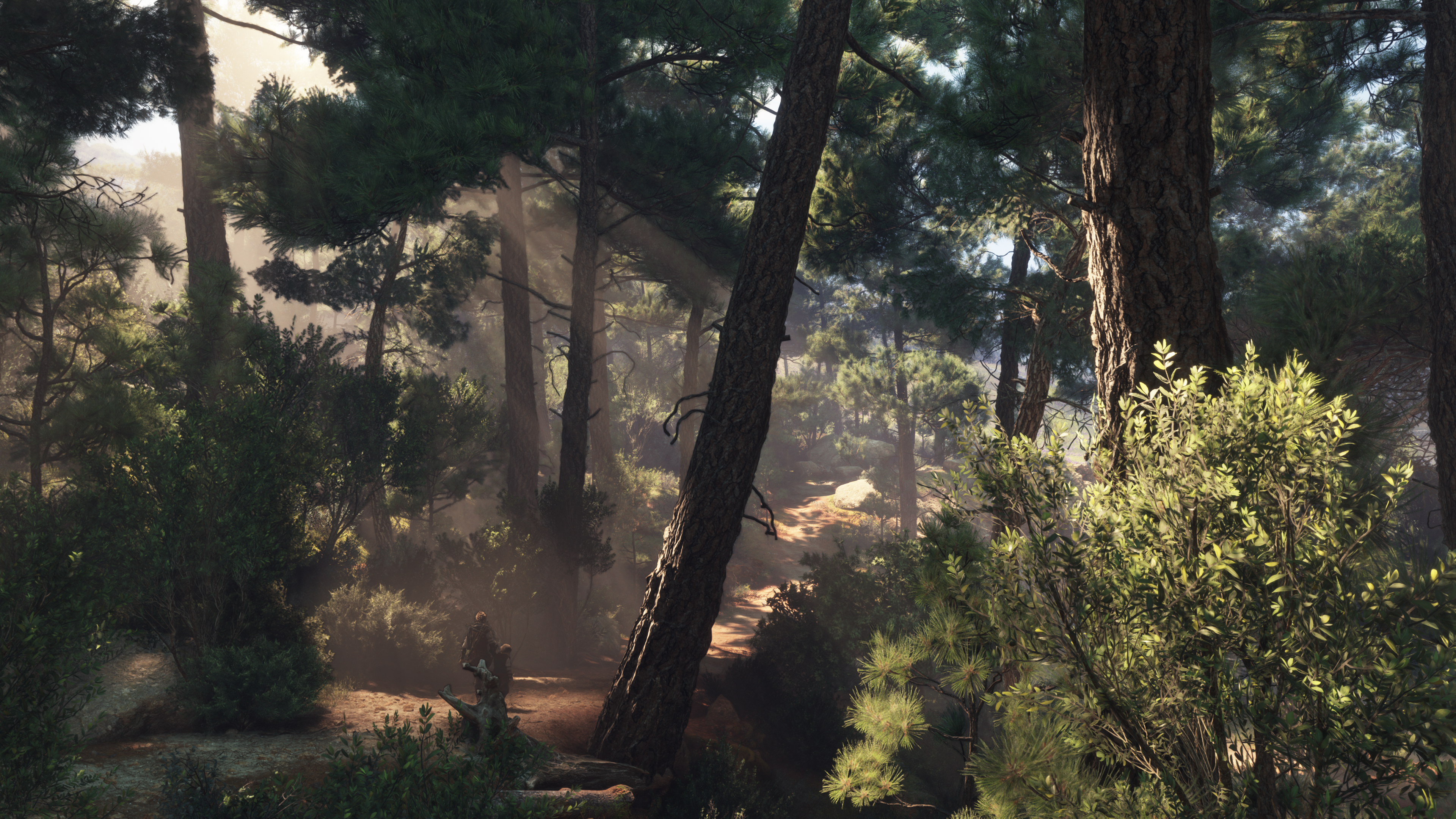 A Plague Tale Requiem Video Games Forest CGi Video Game Characters Video Game Art Trees Nature Sunli 3840x2160
