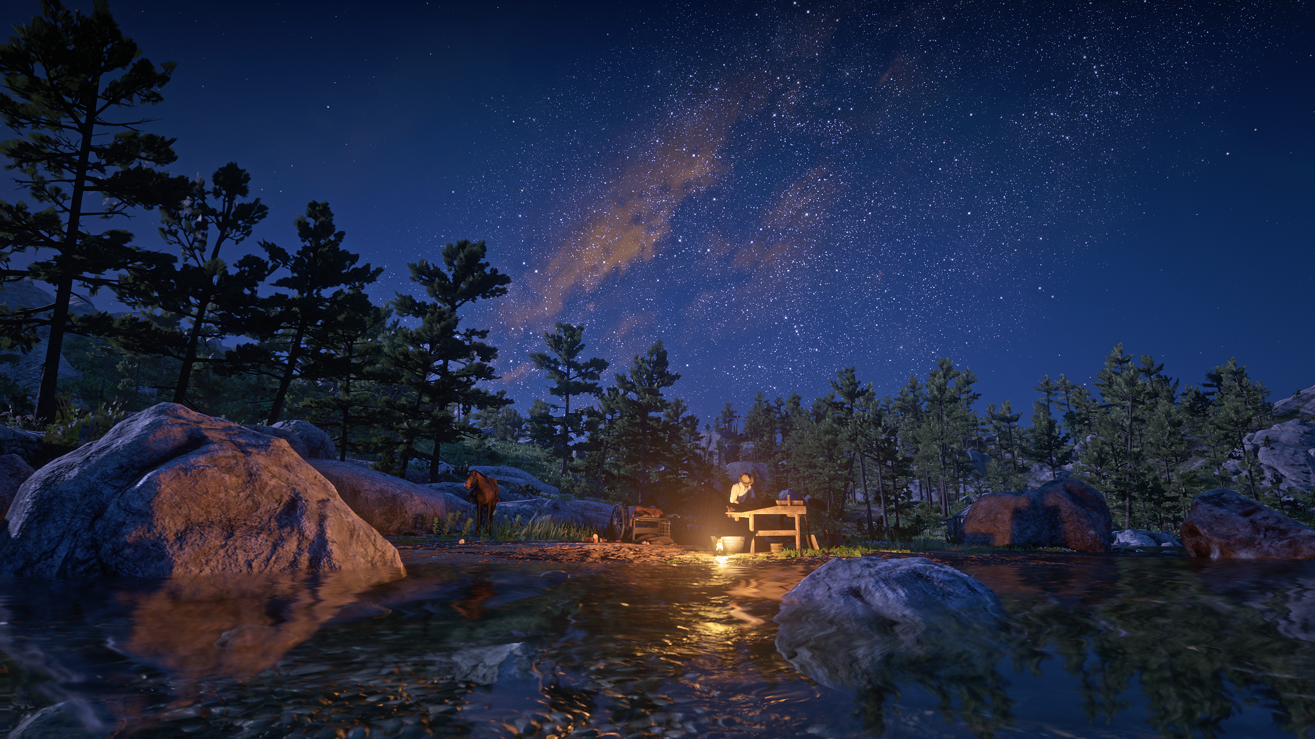 Red Dead Redemption 2 Rockstar Games Video Games Nature Landscape Night Sky Stars CGi Sky Rocks 2560x1440