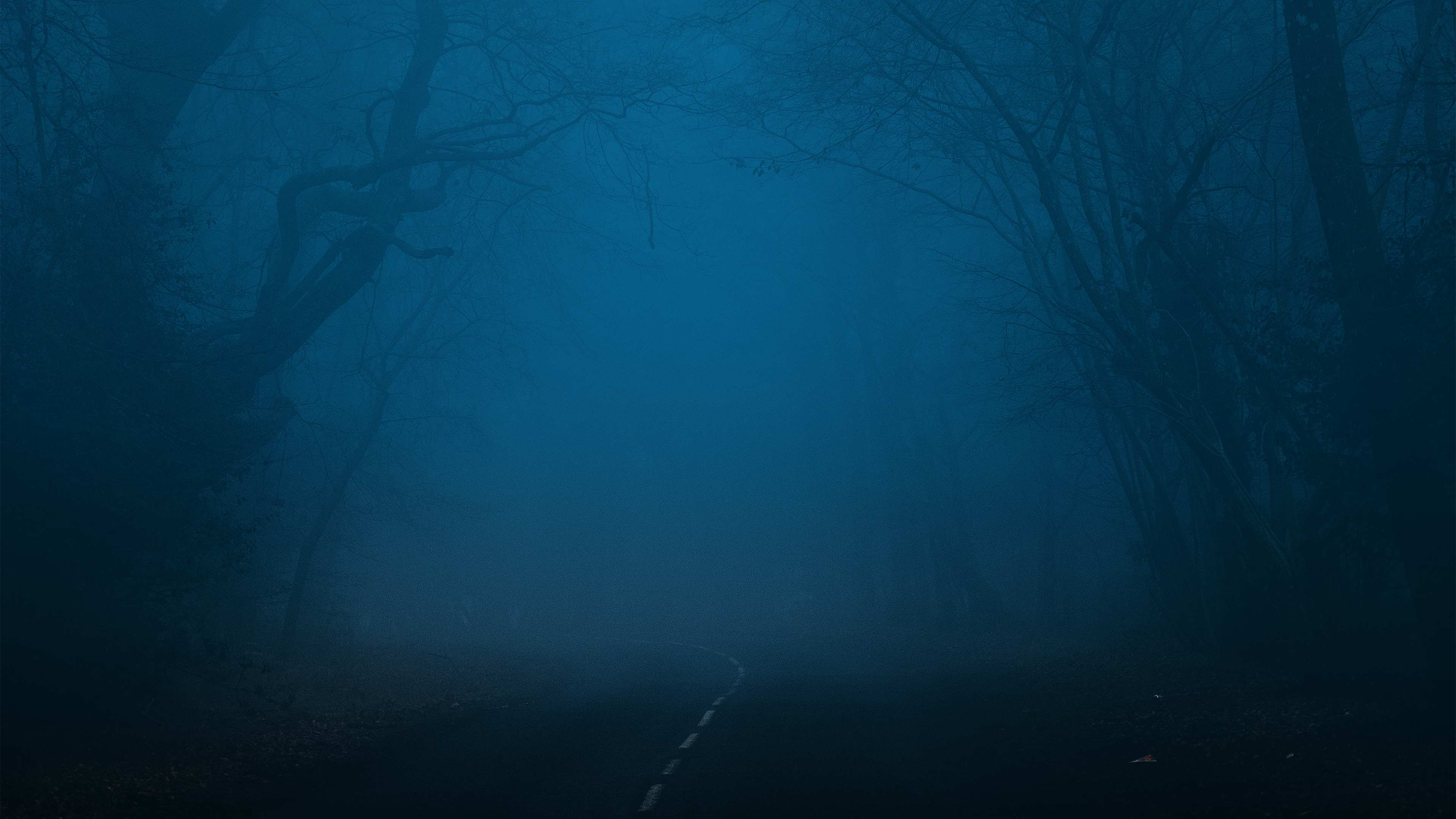 Forest Landscape Night Midnight Nature 4K Horror Road Minimalism Simple Background 3840x2160